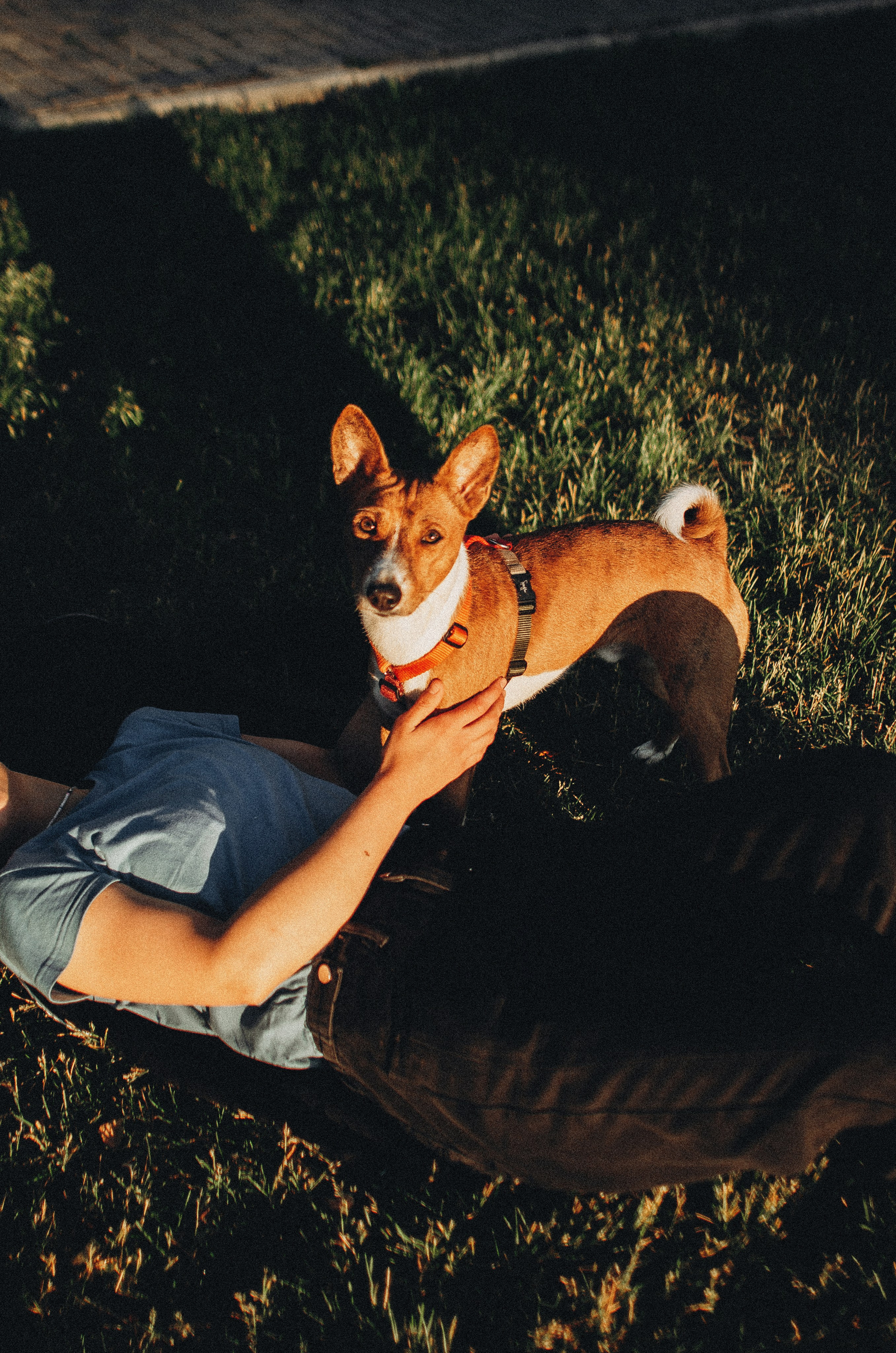 Снежана и Мэнни. Фотограф-анималист Богданова Полина