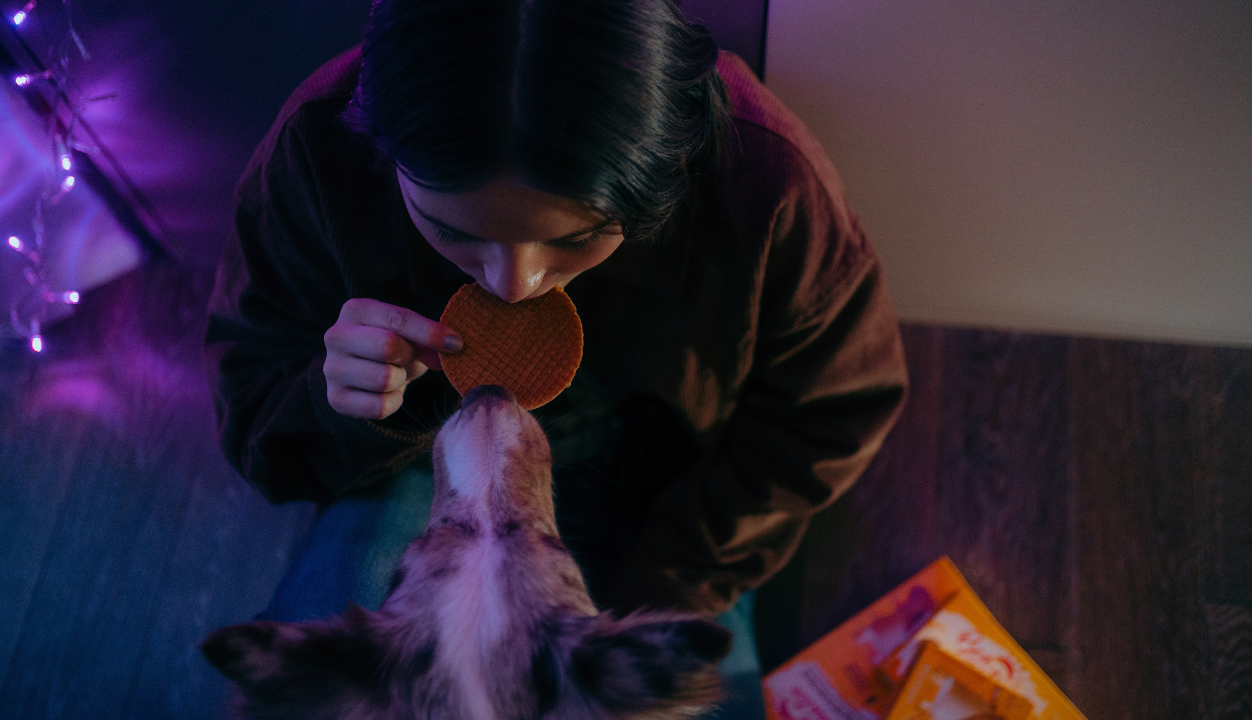 Аня и Дэймон. Фотограф-анималист Богданова Полина