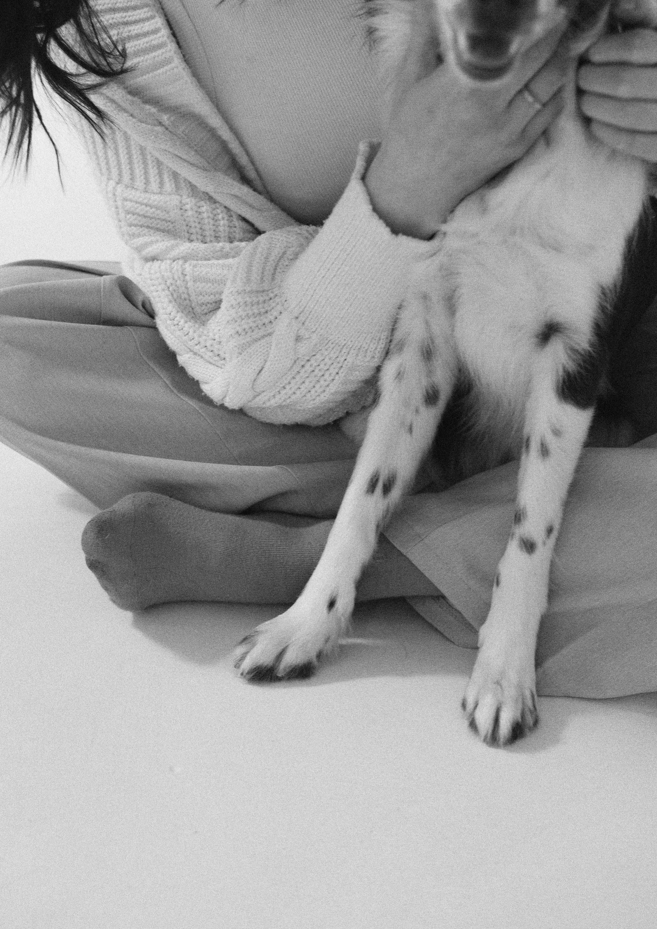 Алена и Гвендолин. Фотограф-анималист Богданова Полина