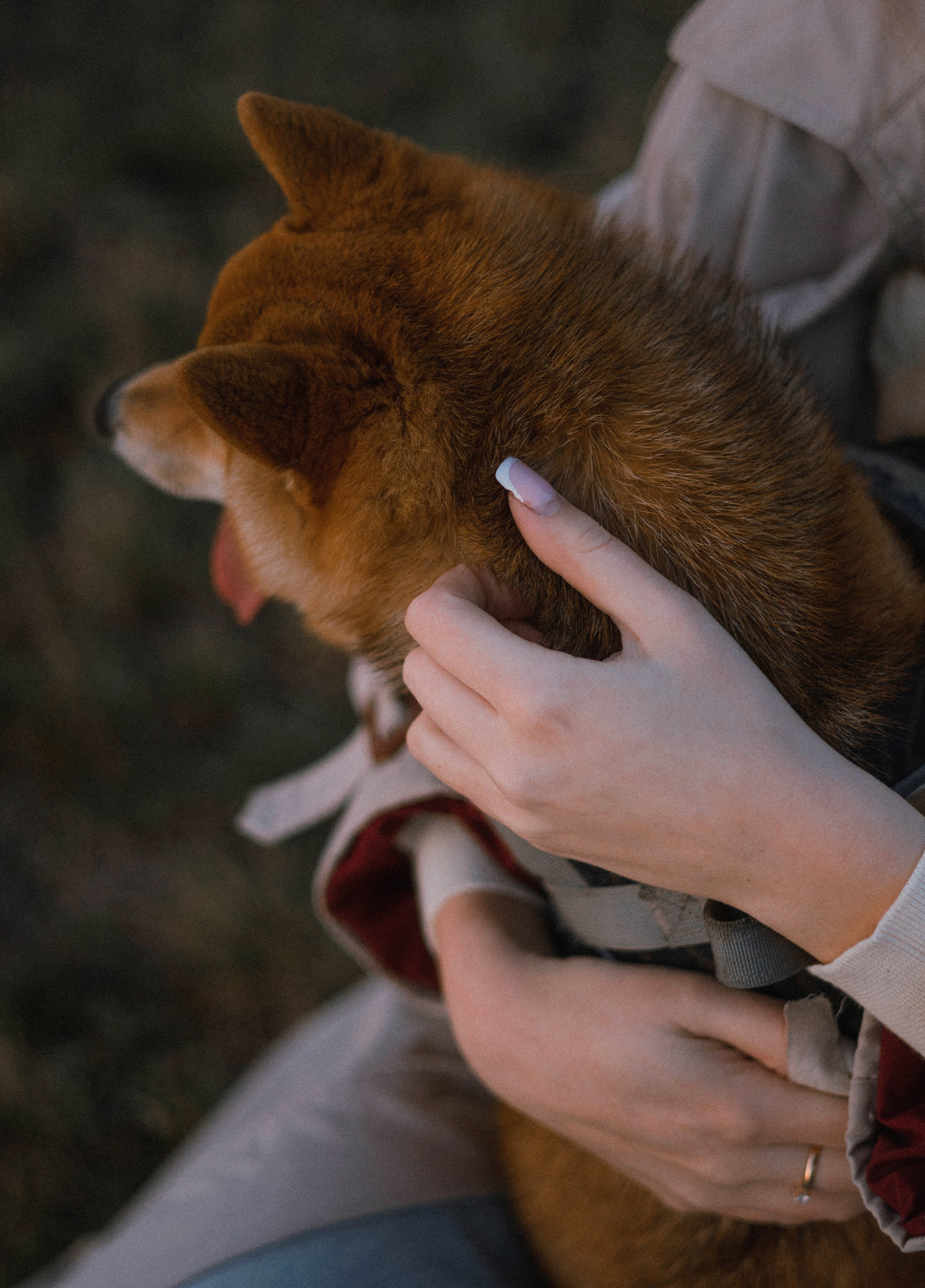 Аня и Шани. Фотограф-анималист Богданова Полина