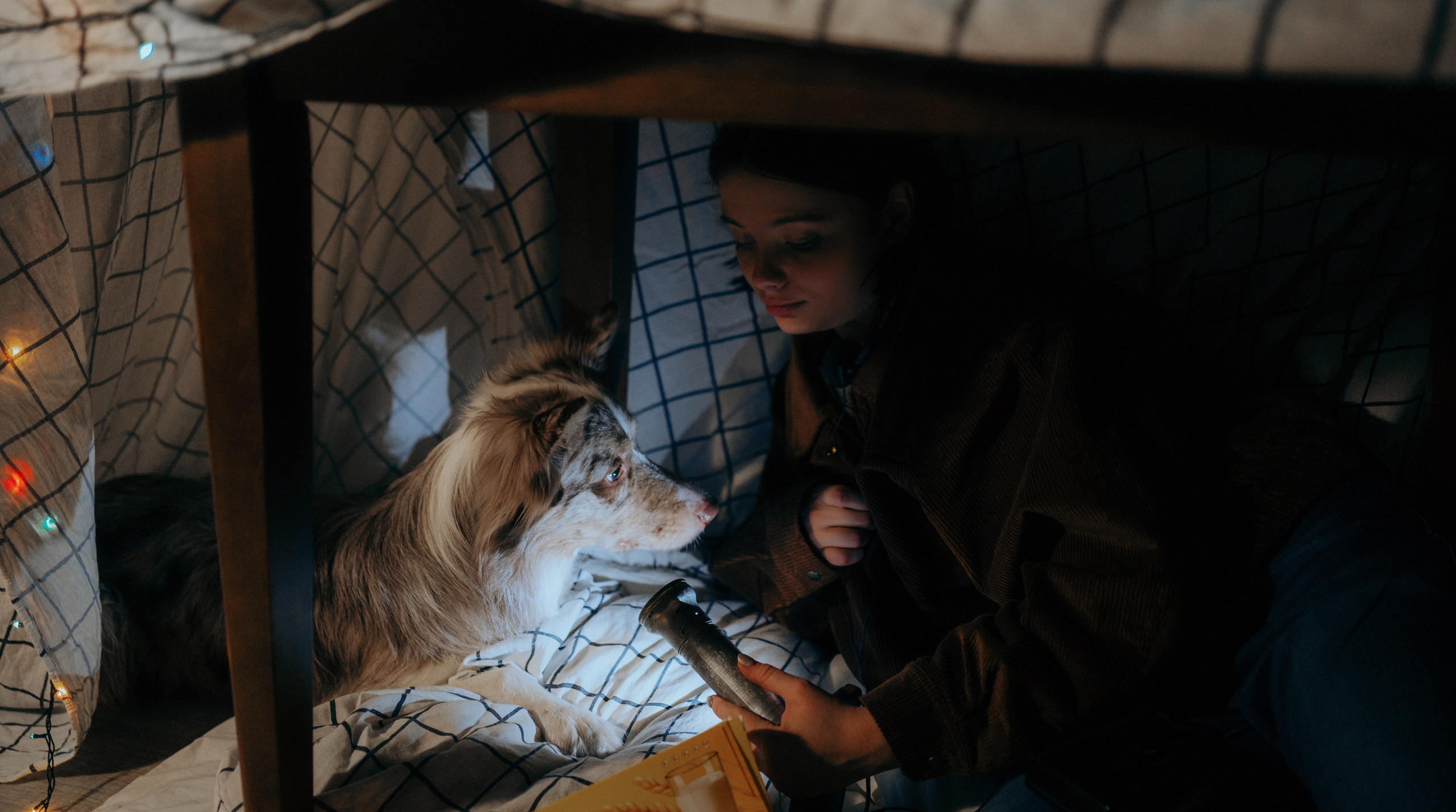 Аня и Дэймон. Фотограф-анималист Богданова Полина