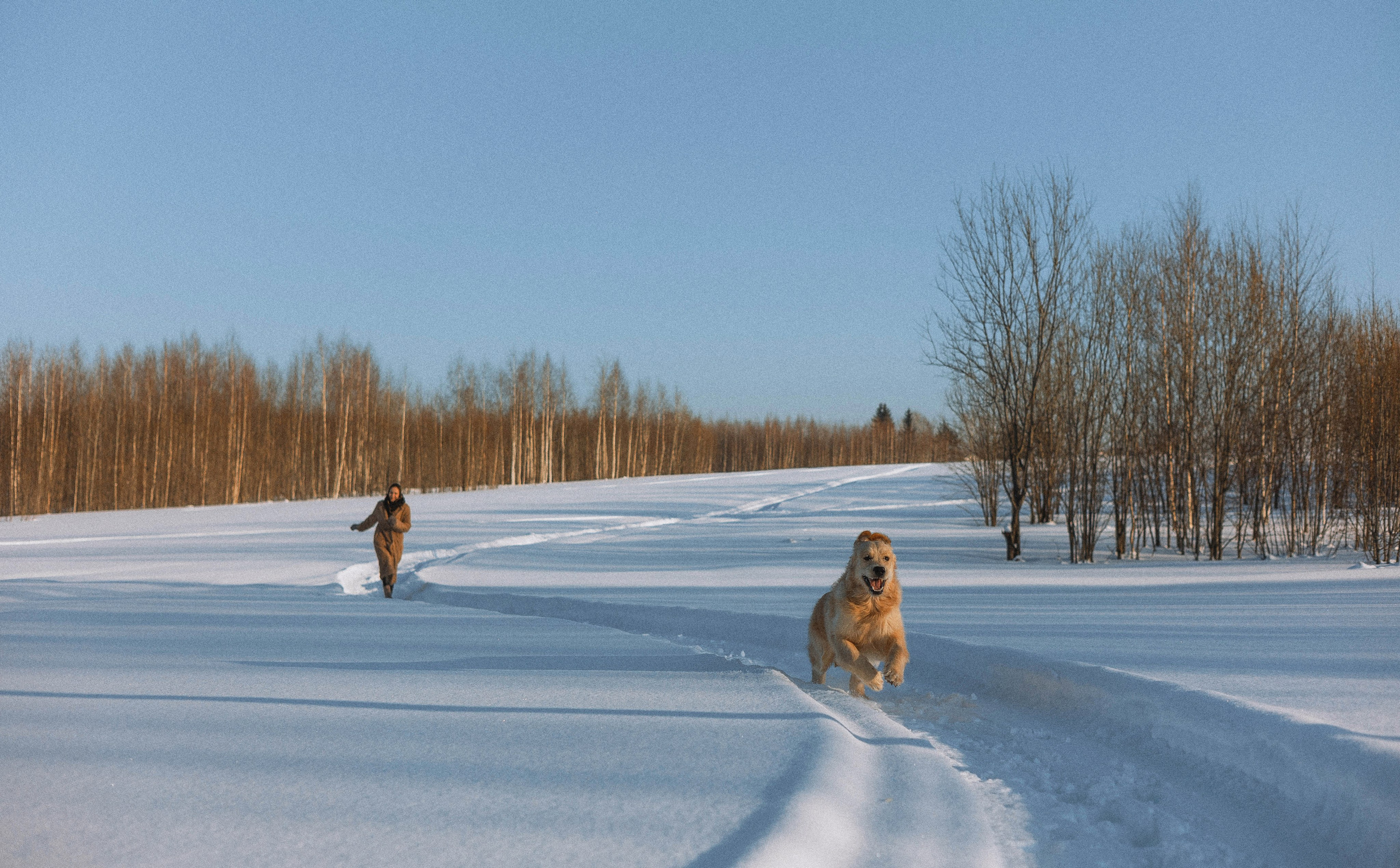 Лена и Декстер. Фотограф-анималист Богданова Полина