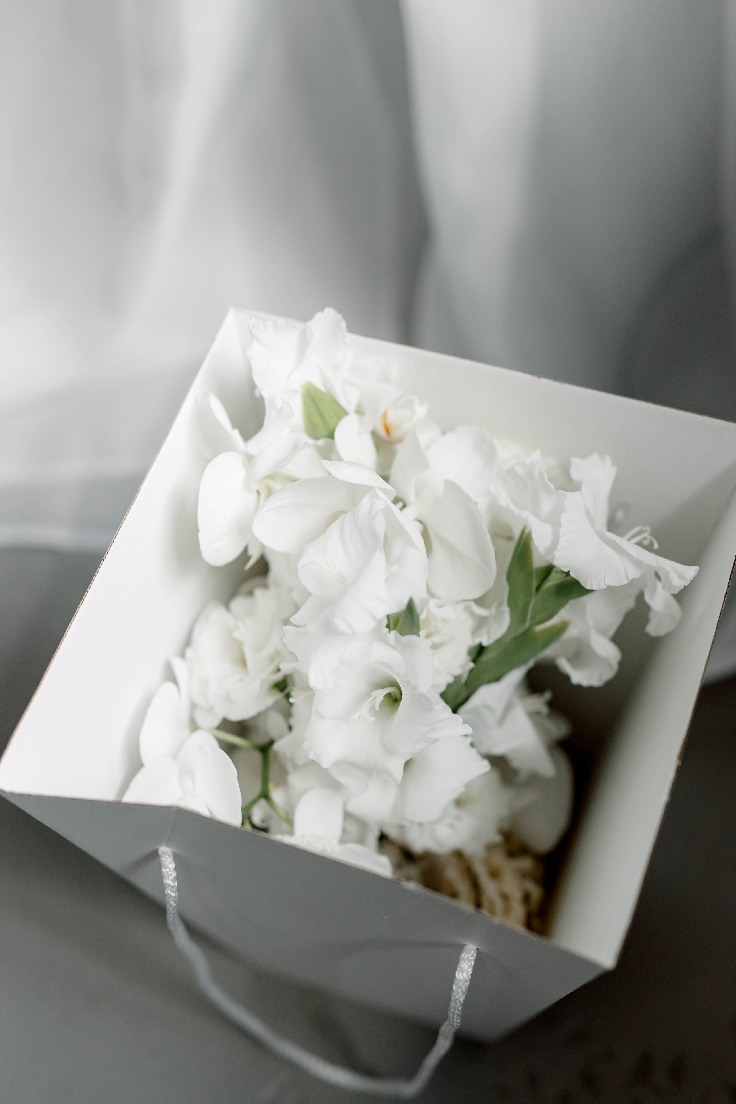 L&I. ЭМОЦИИ В КАЖДОМ СНИМКЕ