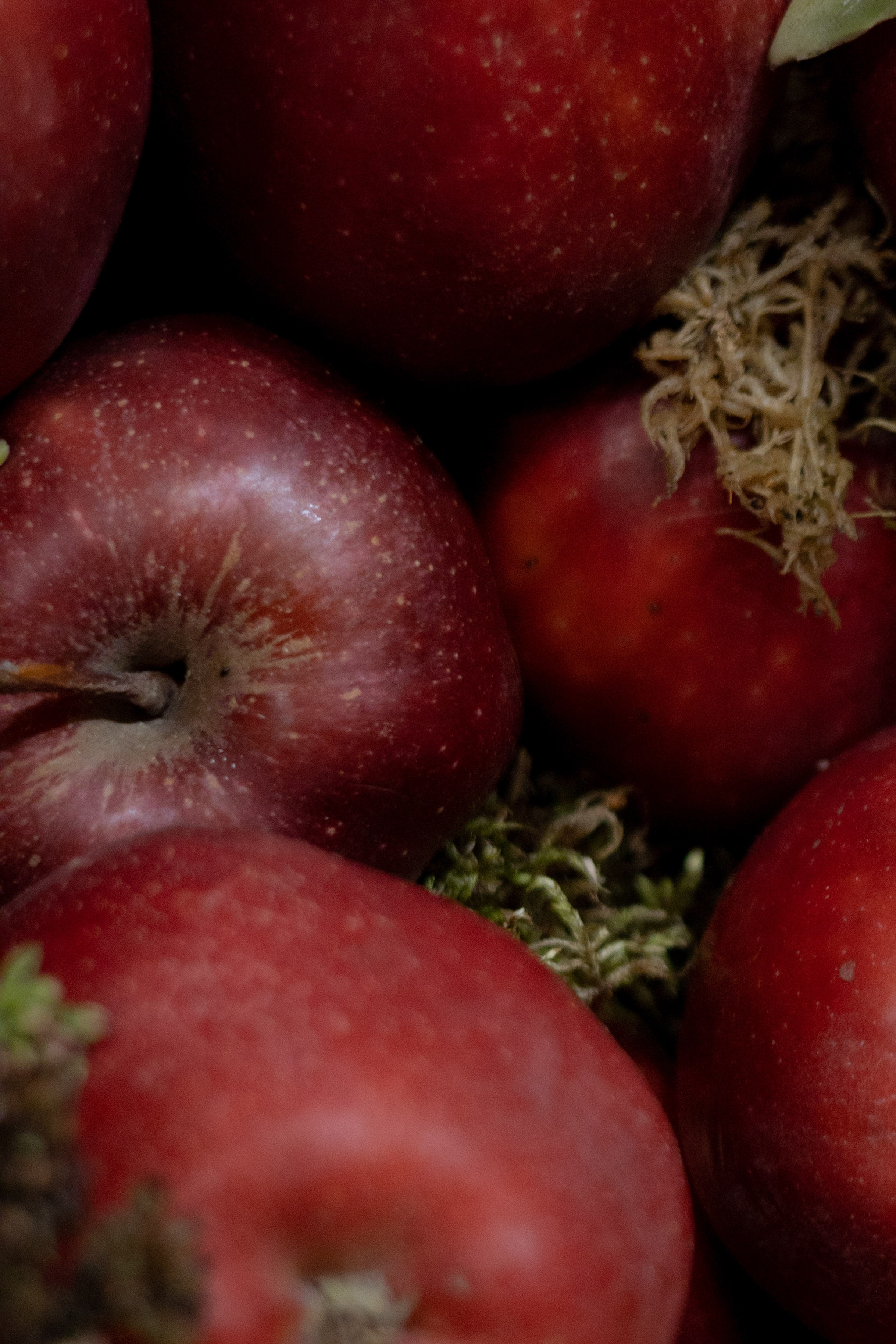 Оформление IX Международного конкурса пианистов имени Д. Д. Шостаковича. Оформление свадеб, декор свадеб Вера Маркова, Москва