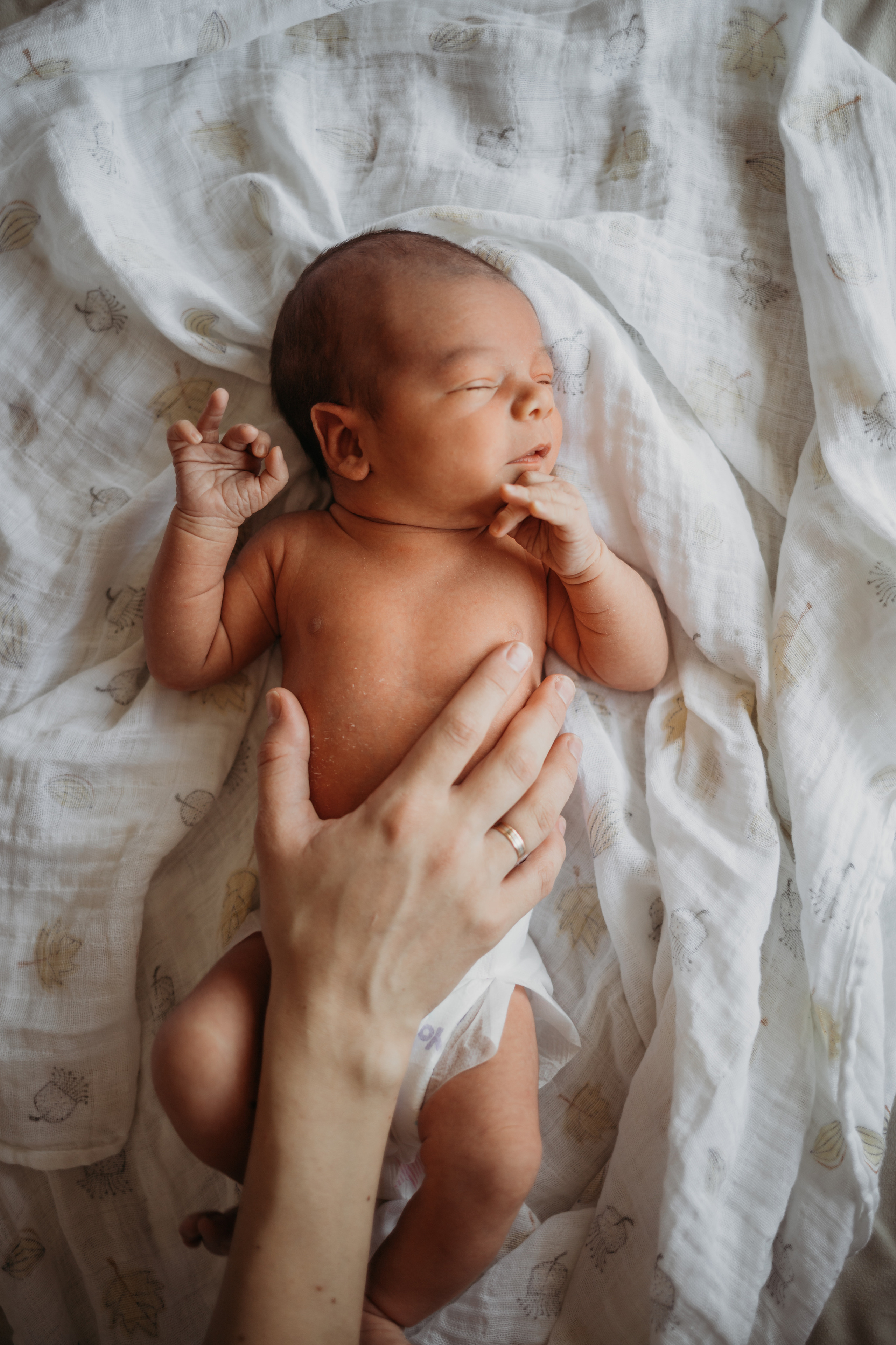 Ангелина, Вячеслав, Василиса и Гавриил. Семейный и детский фотограф в Москве Александра Нараевская