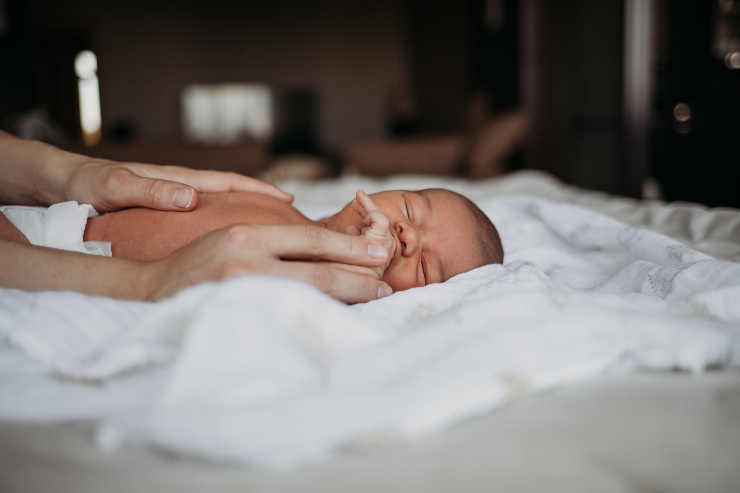 Ангелина, Вячеслав, Василиса и Гавриил. Семейный и детский фотограф в Москве Александра Нараевская