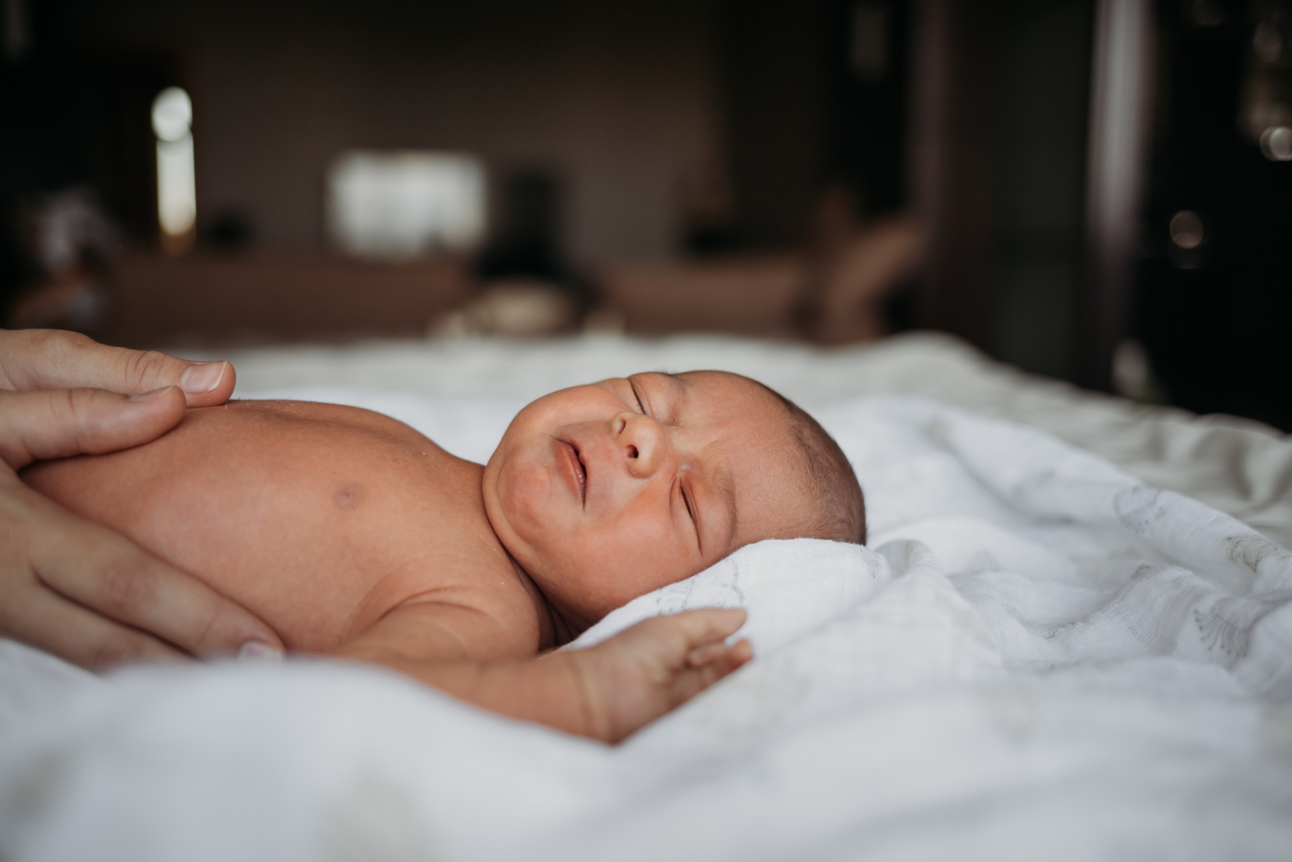 Ангелина, Вячеслав, Василиса и Гавриил. Семейный и детский фотограф в Москве Александра Нараевская