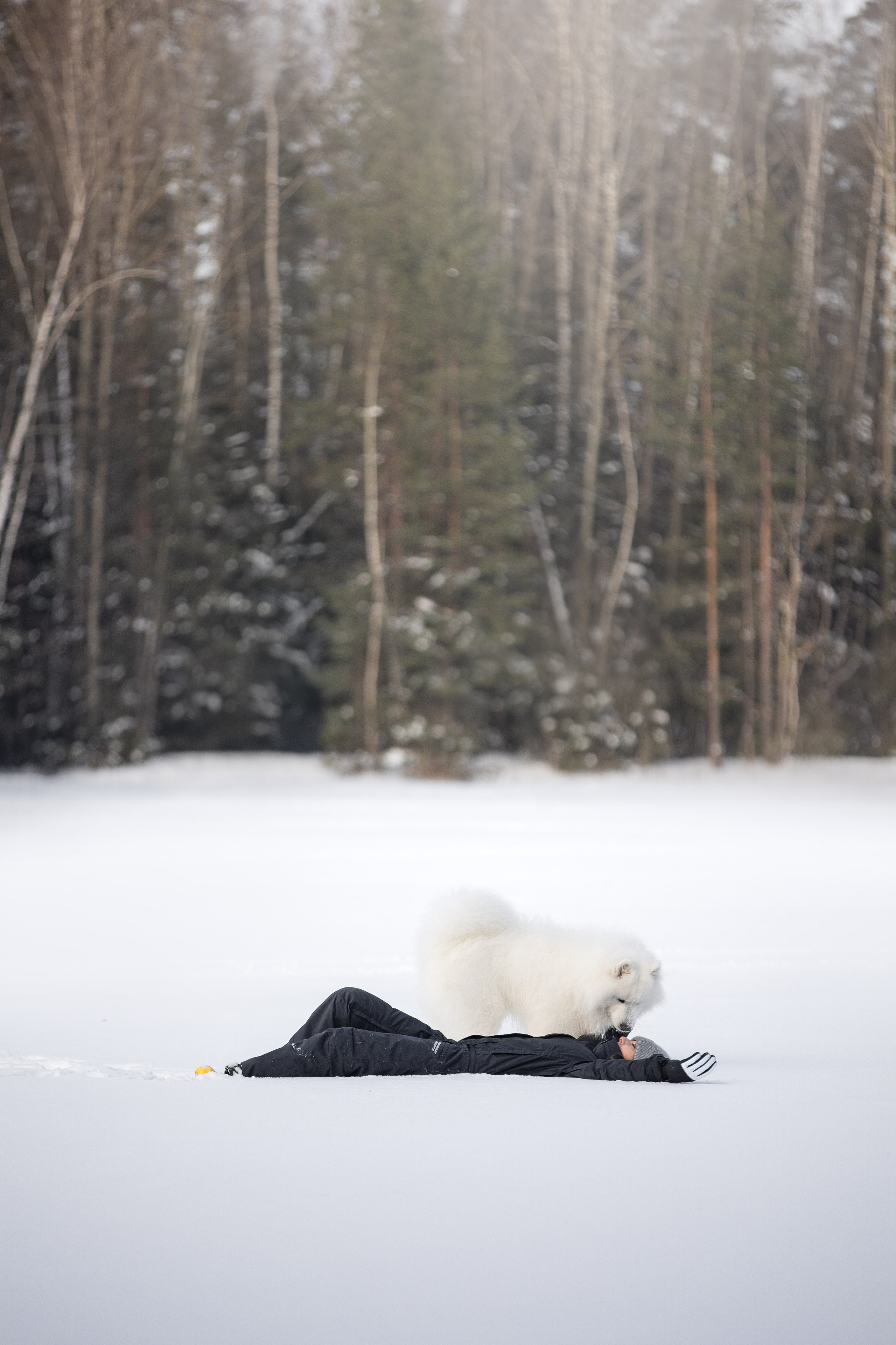 Дмитрий, Наталья и Панти. Фотограф анималист в Москве Майорова Евгения