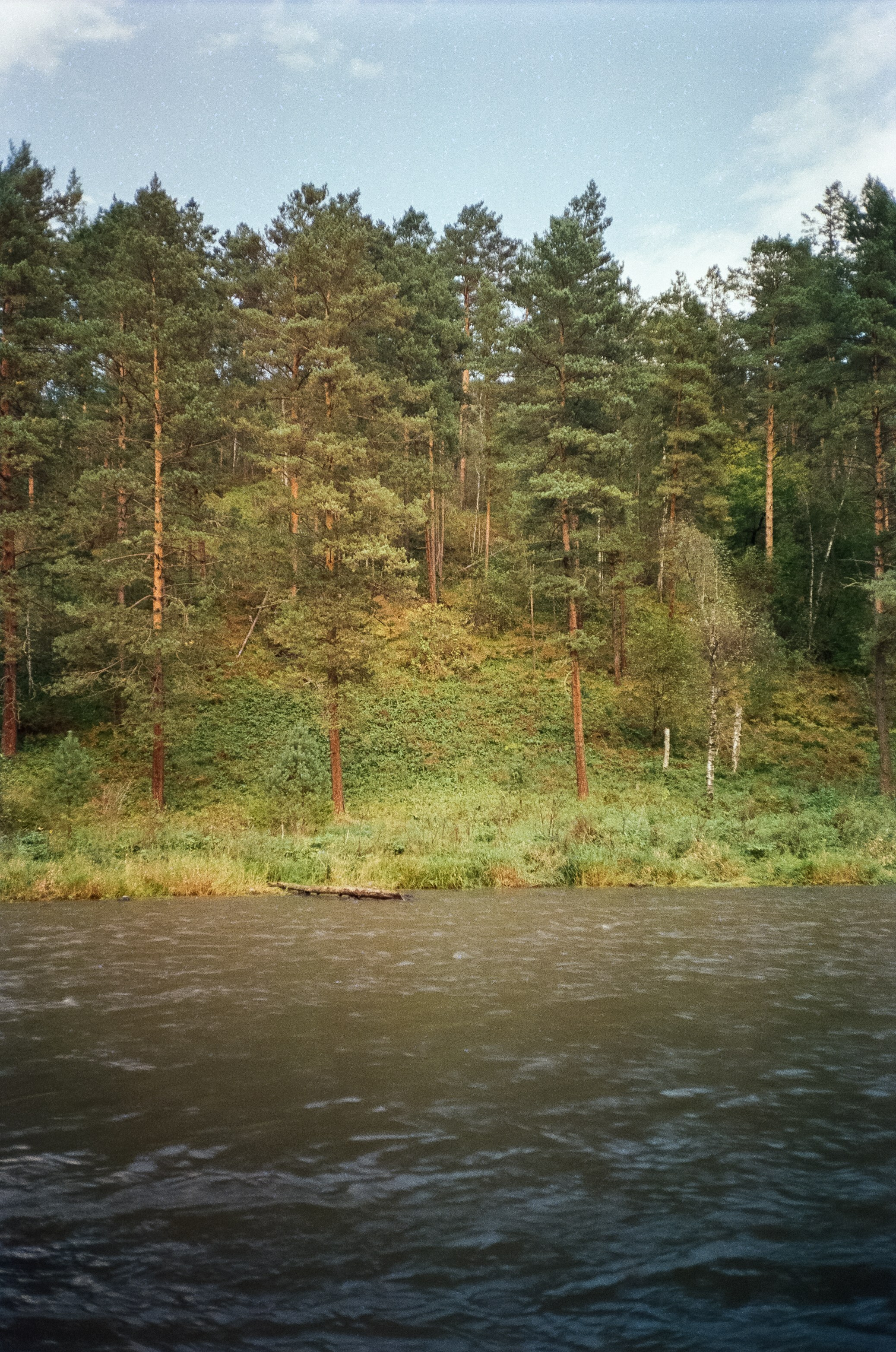 Горно-алтайский ботанический сад