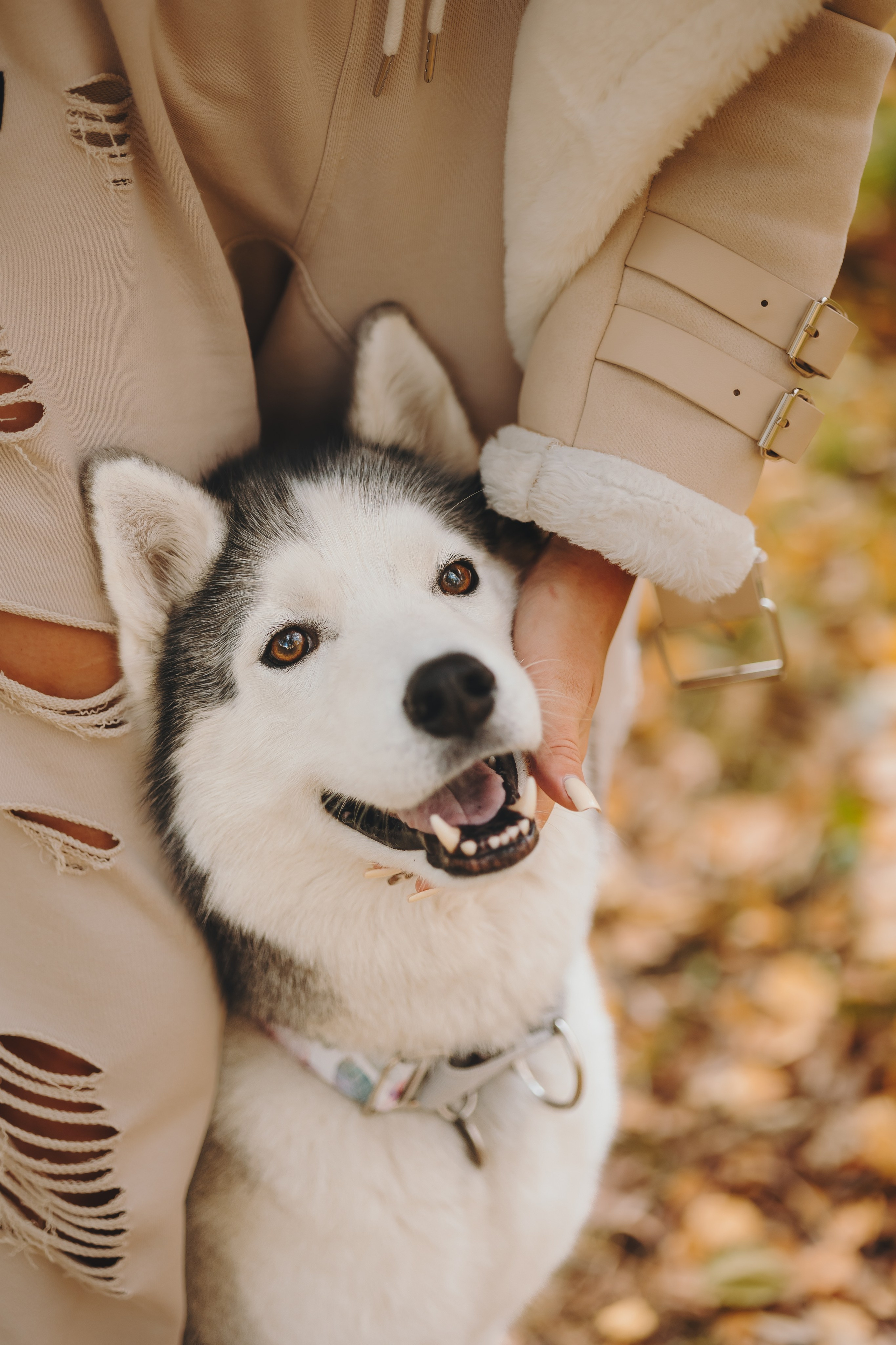 Настя и Айс. Фотограф-анималист в Санкт-Петербурге Алина Яхонт