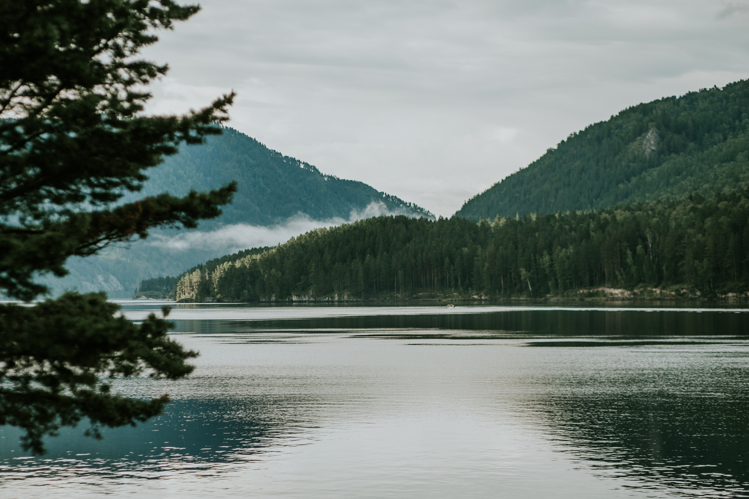 Рустам и Ирина. Фотограф Москва, Санкт-Петербург, Абакан