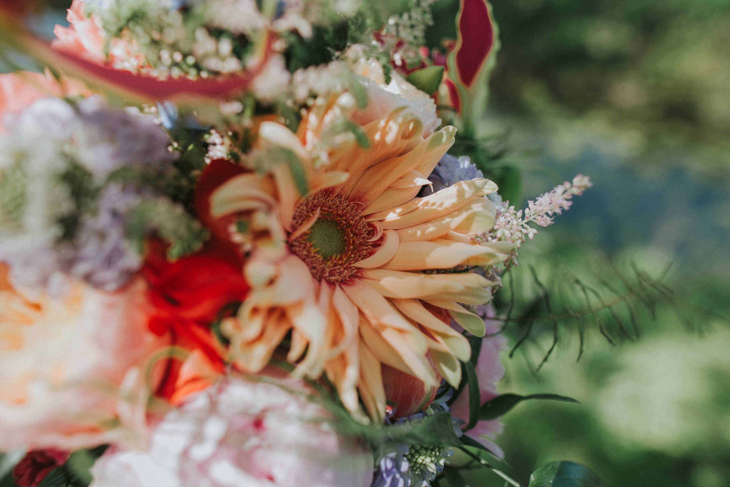 Peter + Julia (Нидерланды). Фотограф Москва, Санкт-Петербург, Абакан
