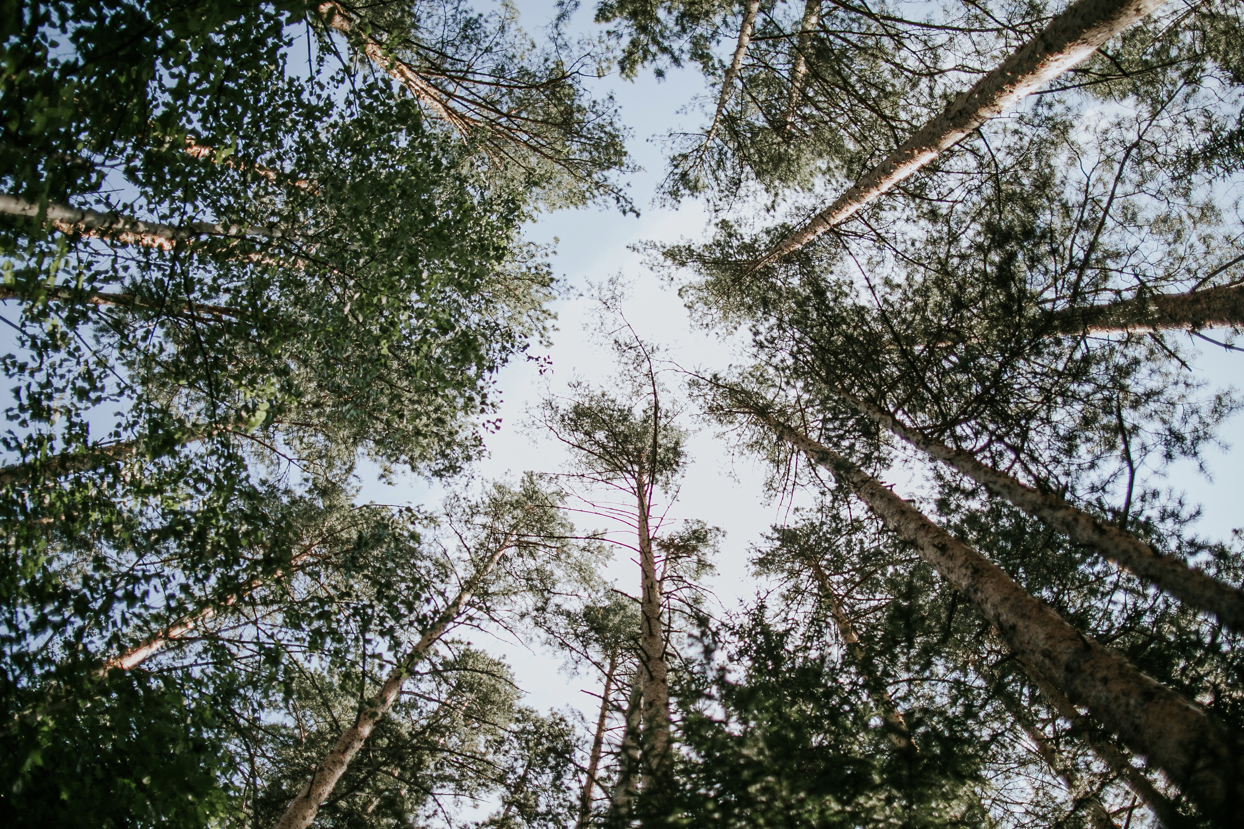 Дмитрий и Любовь. Фотограф Москва, Санкт-Петербург, Абакан