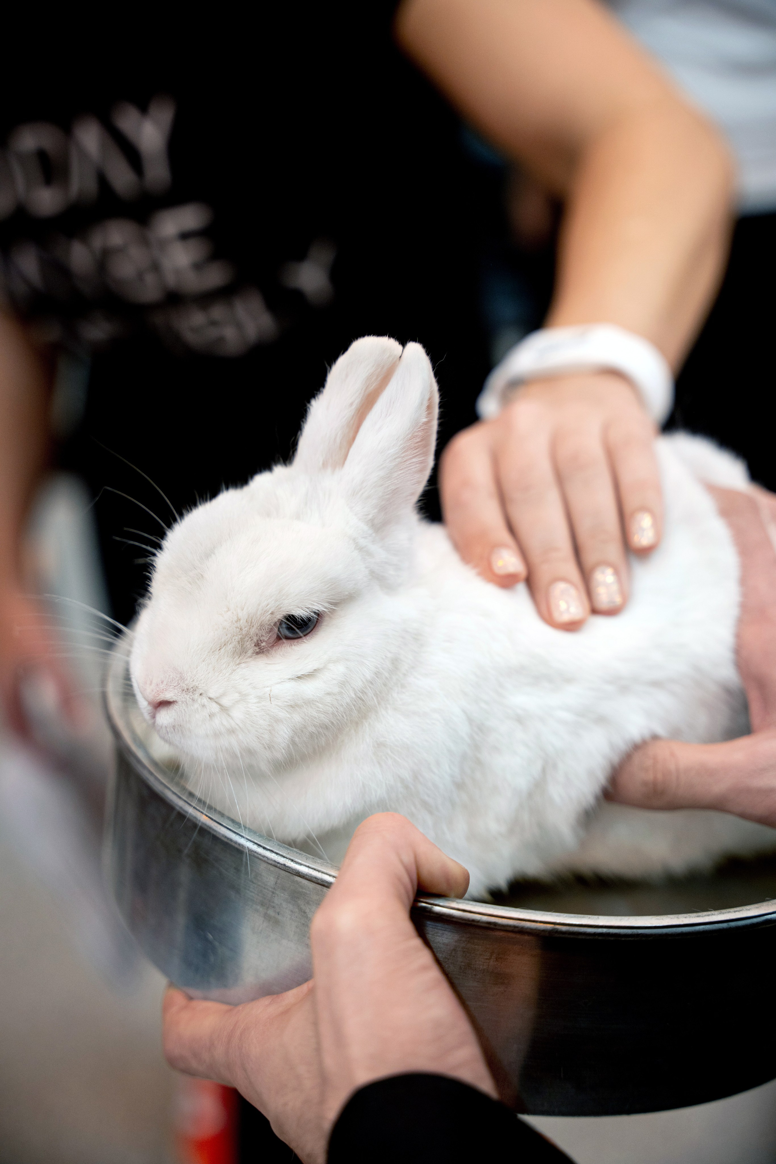 ОТКРЫТИЕ ФИТНЕС-ЦЕНТРА. Фотограф на любое мероприятие