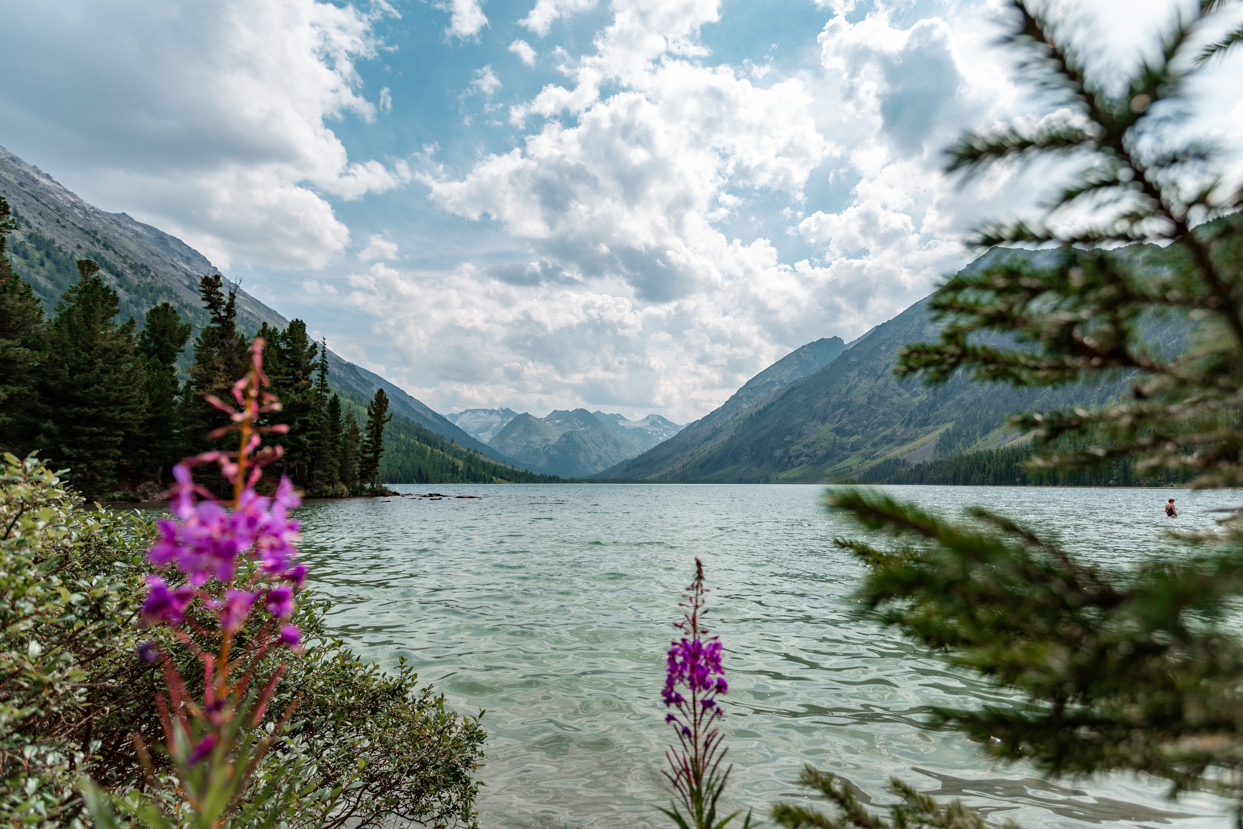 Катунский заповедник, Республика Алтай. Репортажный фотограф в Крыму Ксения Гасица