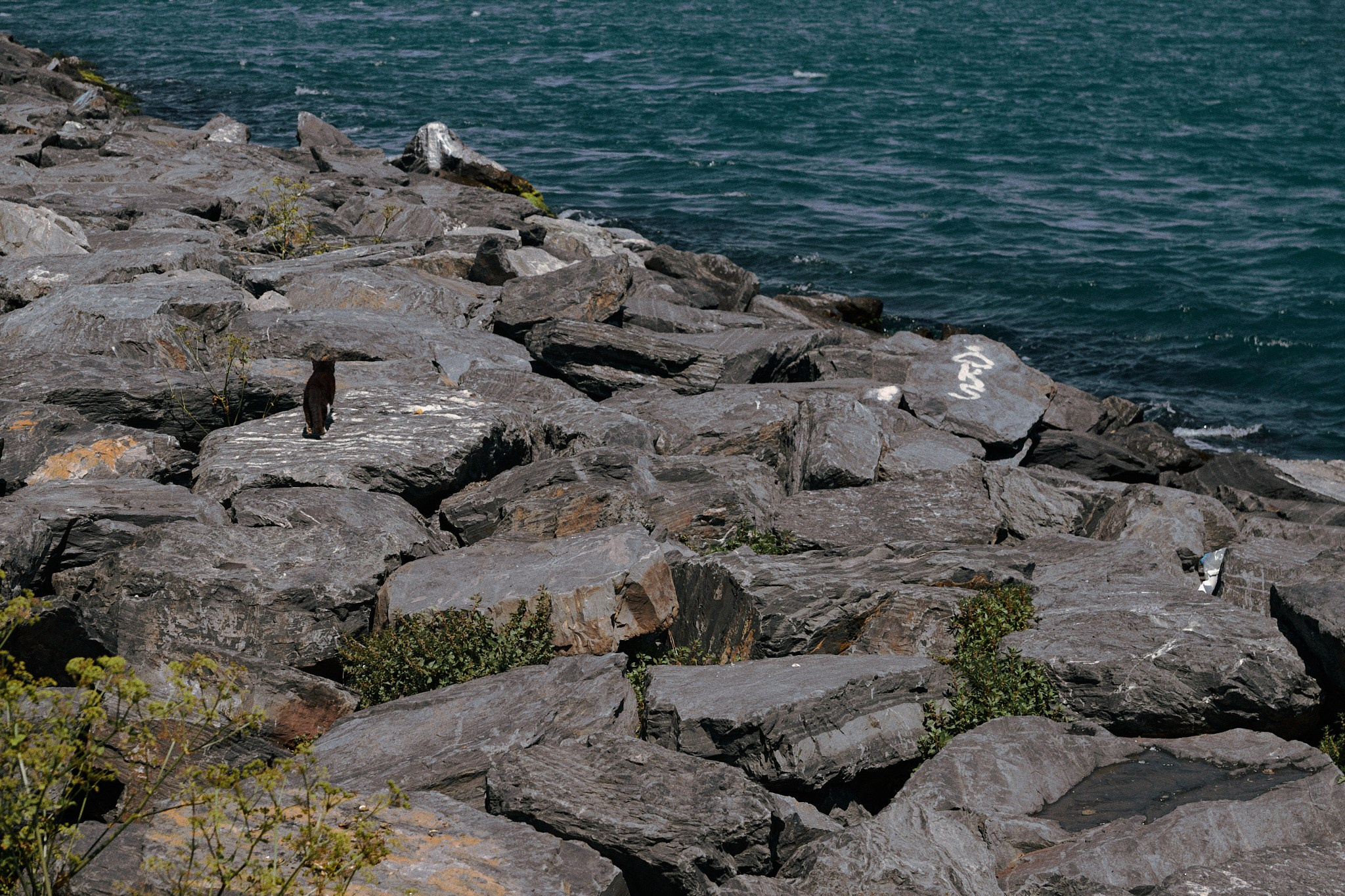 Улица горизонтальная. Jorgis — фотограф в Хургаде / обучение фотографии