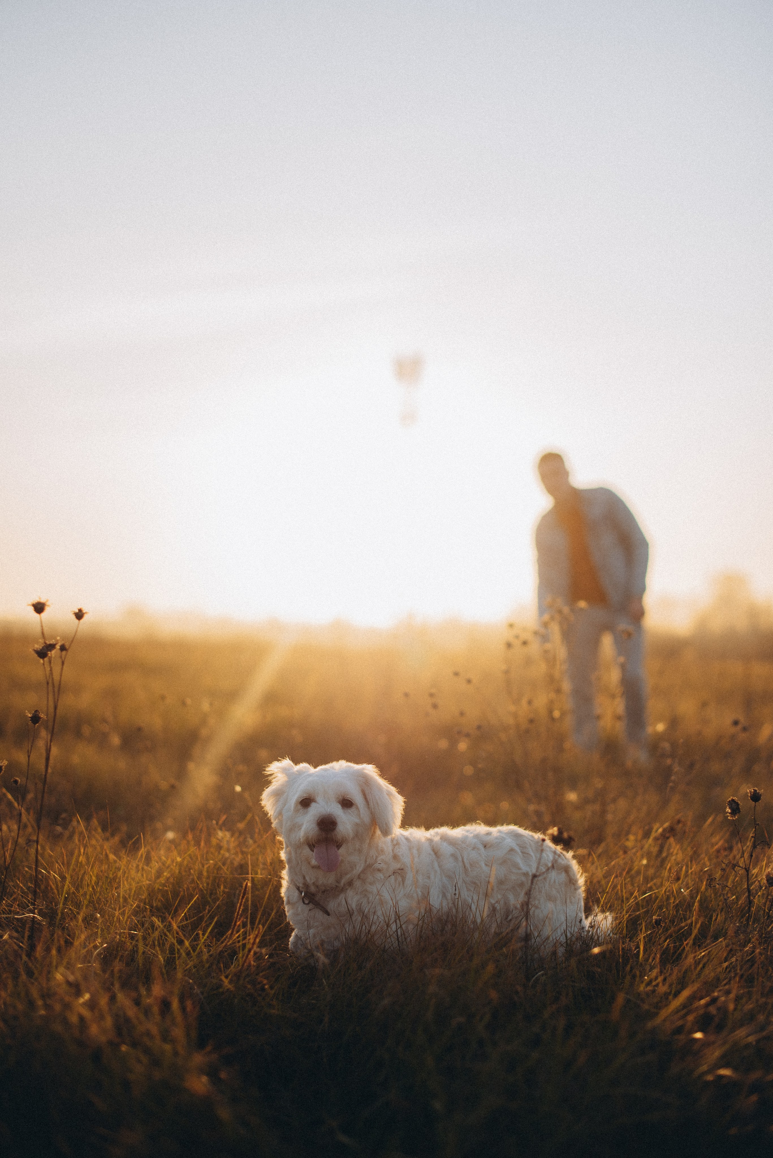 Фотограф в Барнауле и Новоалтайске Ольга Межинская