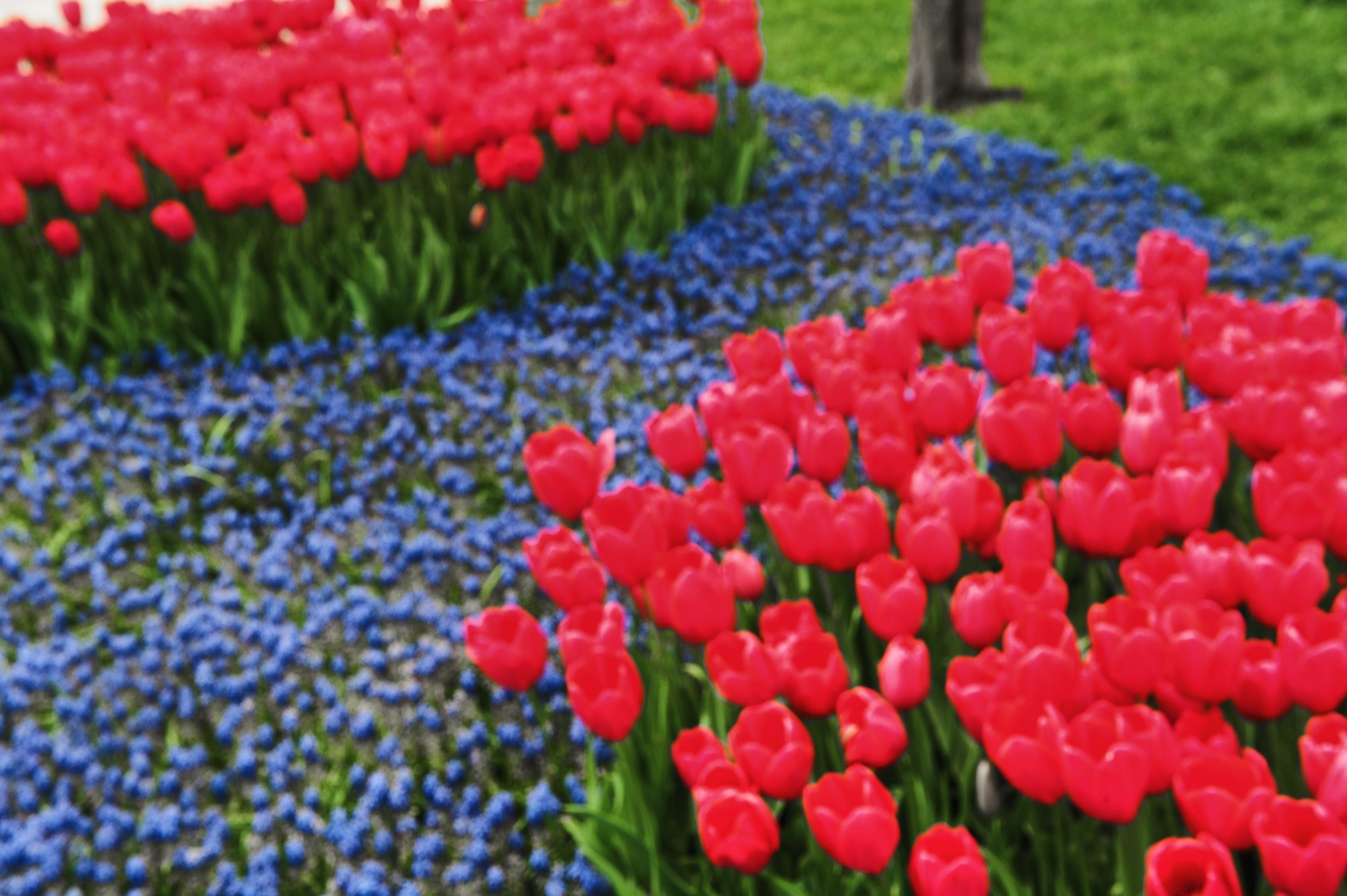 Документальная фотография — проект «Стамбул многоликий» | Дмитрий Тарасов. Репортажный фотограф в Москве — Дмитрий Тарасов | Съёмка мероприятий, концертов, корпоративов