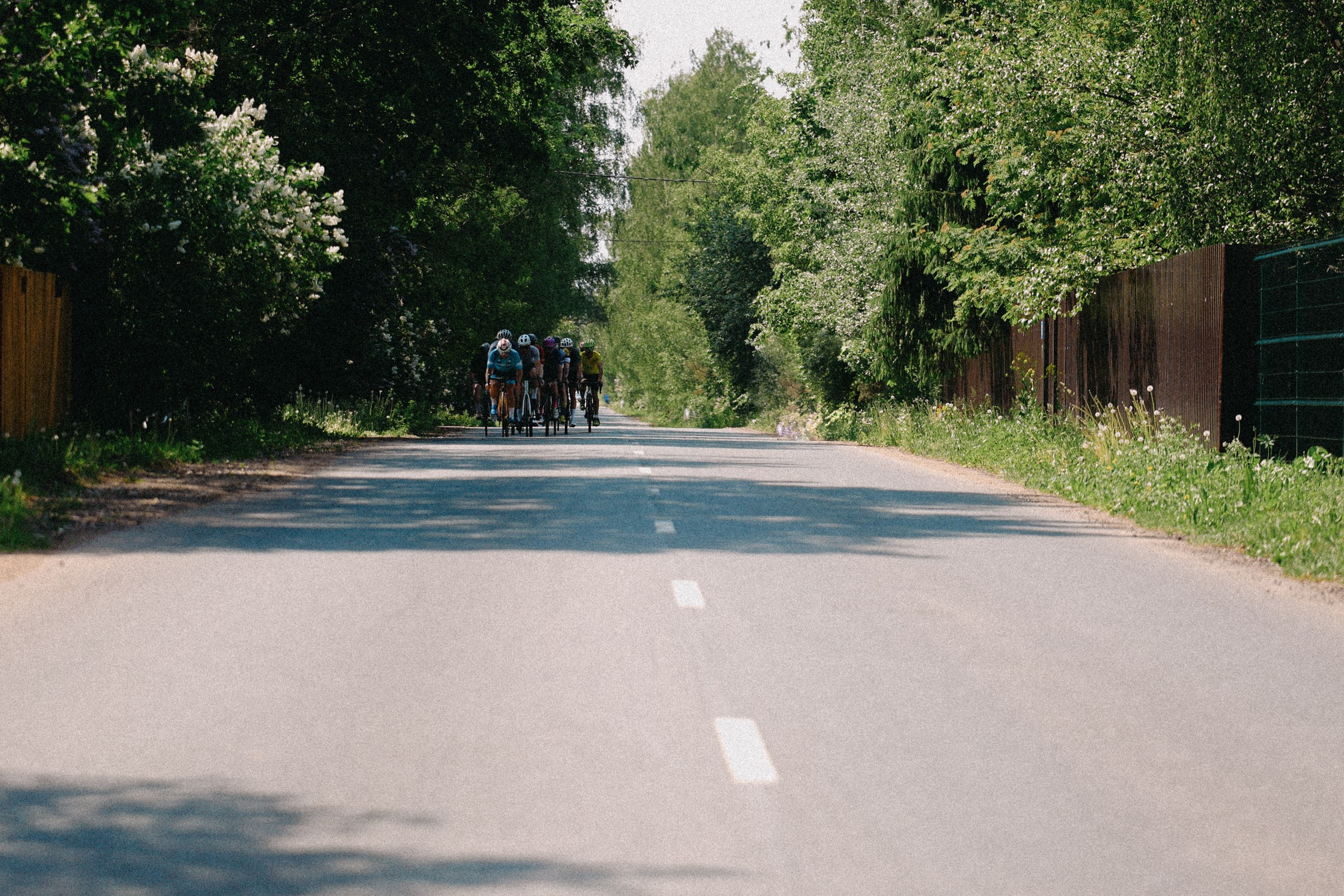 /РЕПОРТАЖ/ Велогонка Тур Де Селищи 2024. Свадебный фотограф Великий Новгород Станислав Кособудский
