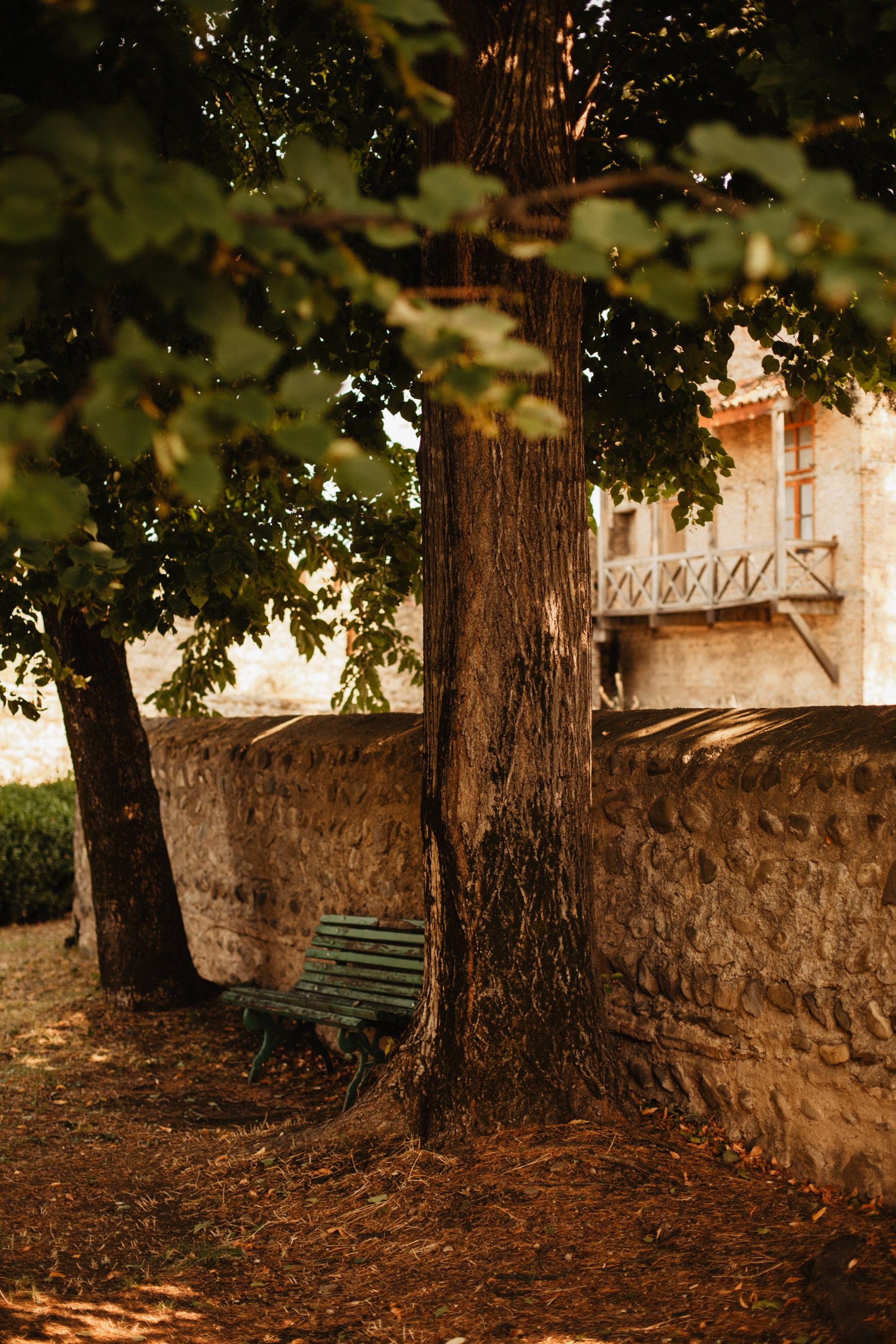 Грузинские каникулы. Violetta Skripka