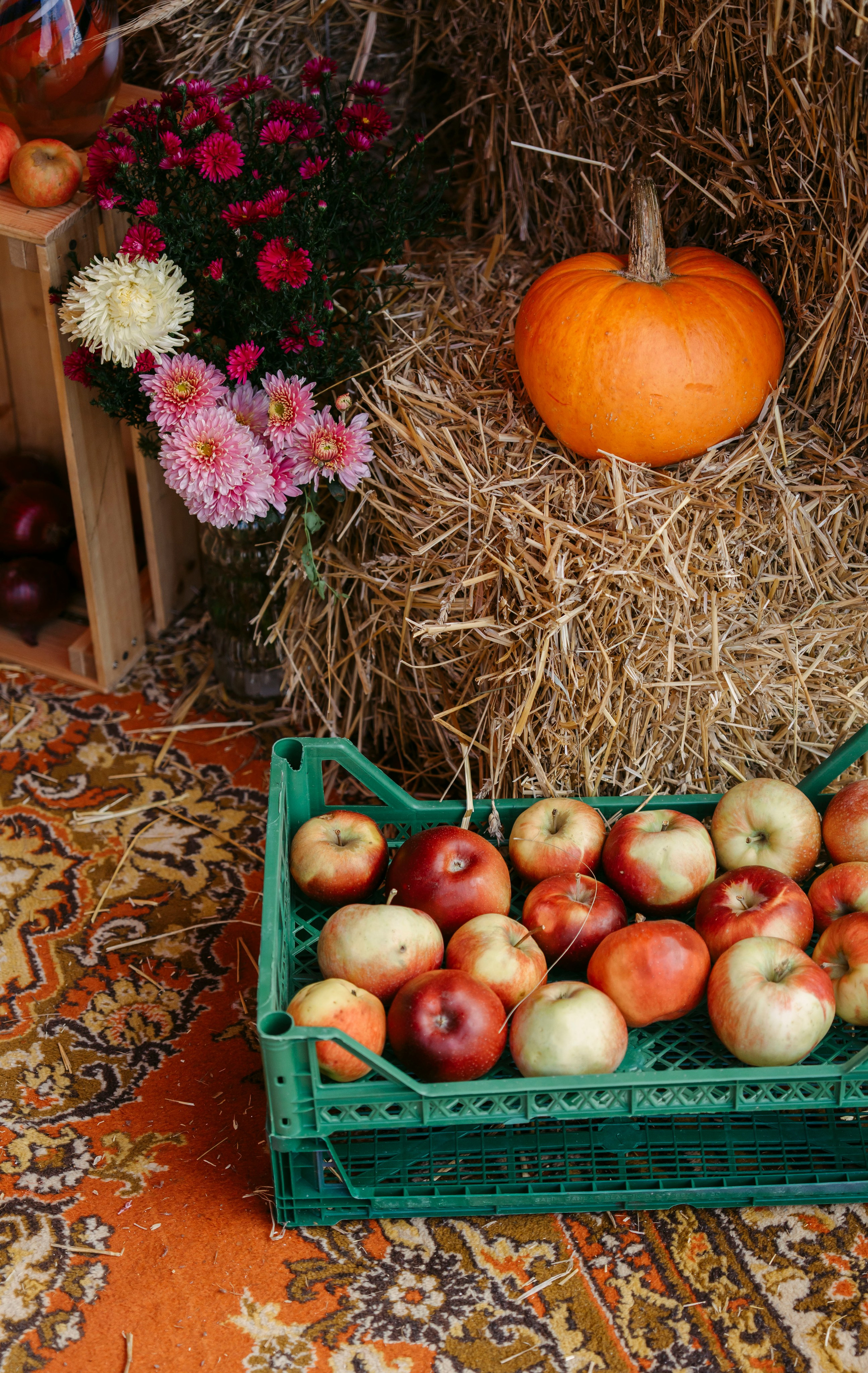 27–28 сентября 2025 в Казани на фестивале «Очень! Осень» / фото Александр Копылов. Фотоотчеты «Ламбада-маркета»