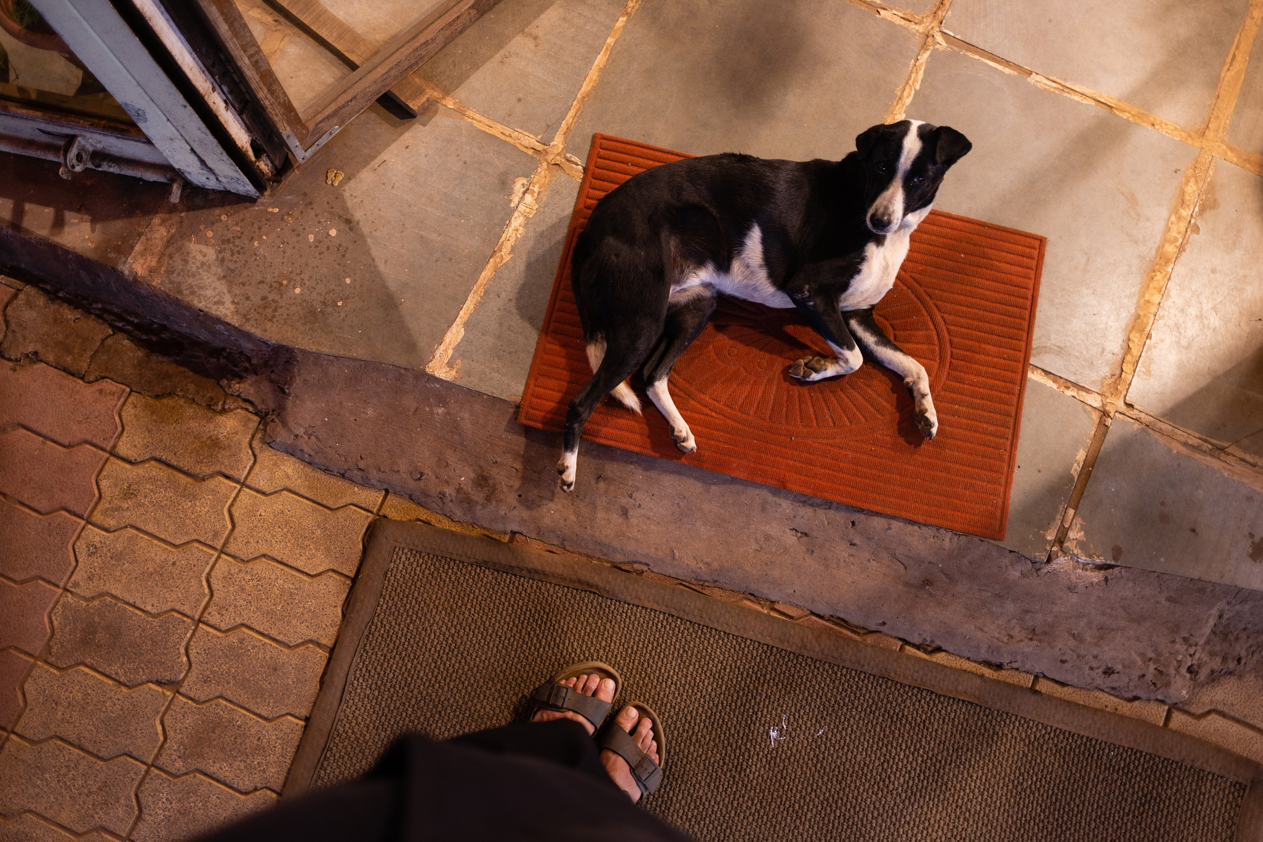 ГОА 2024. Руслан Плахтеев