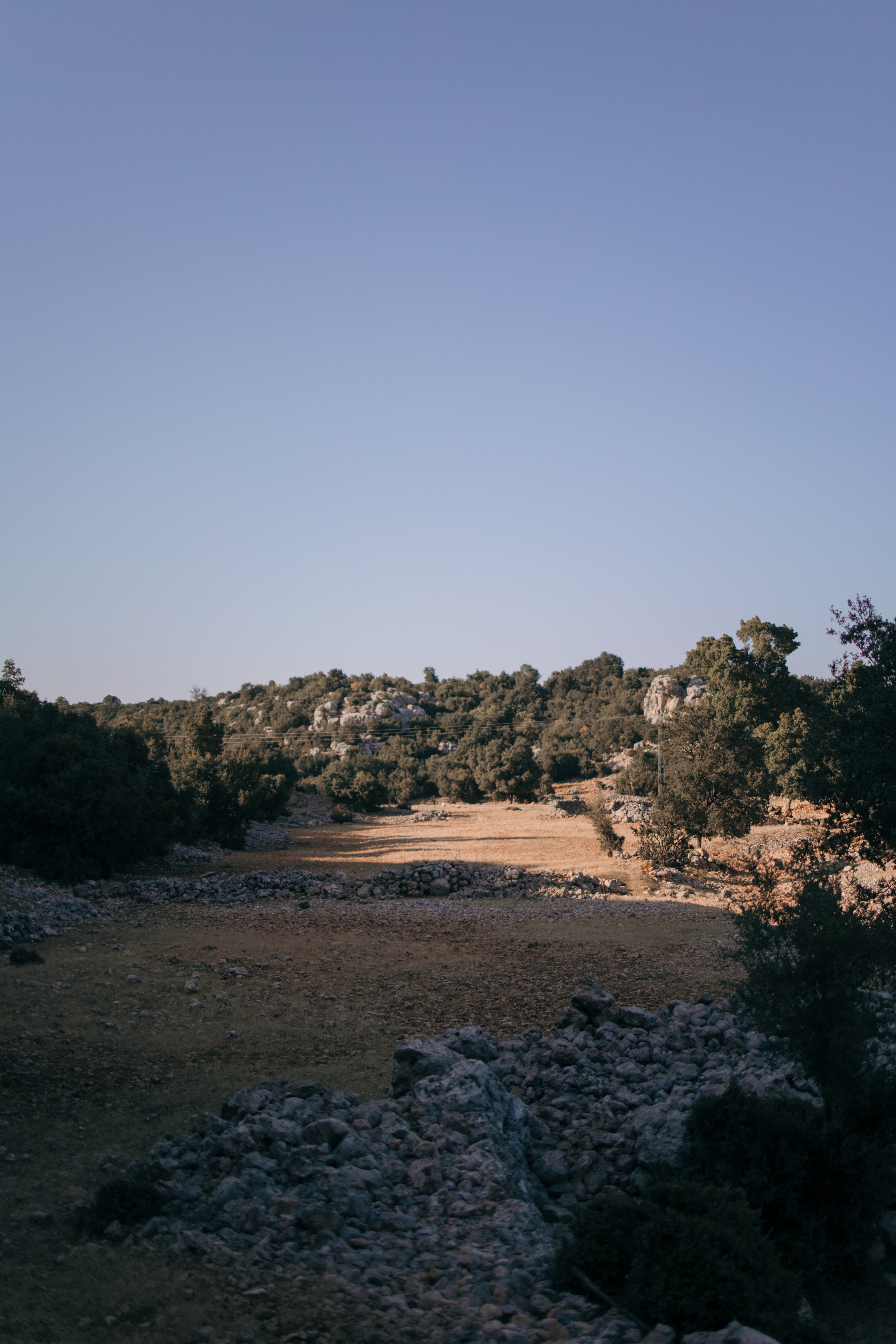 Street photo. Photographer in Turkey — Dari N