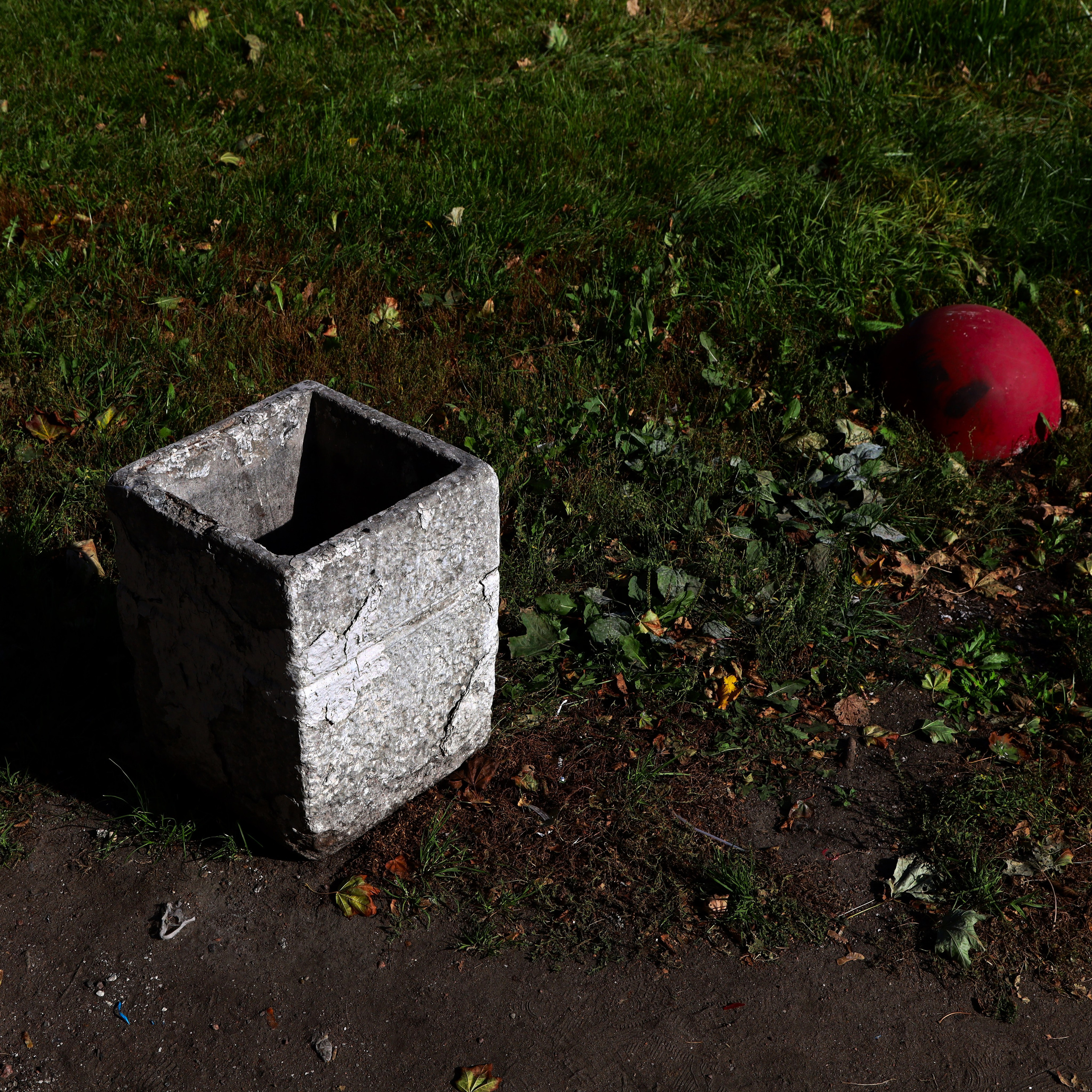 ROSENROT. СПБНЛО