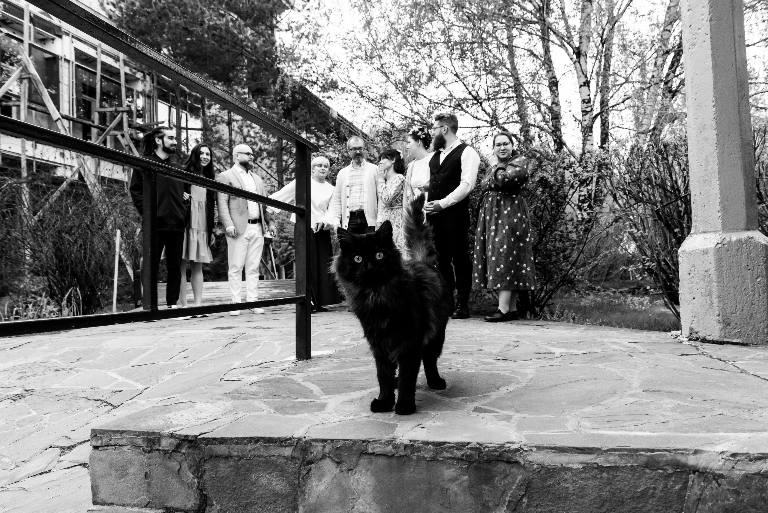 Свадебное портфолио. Фотограф Сергей Глобенко