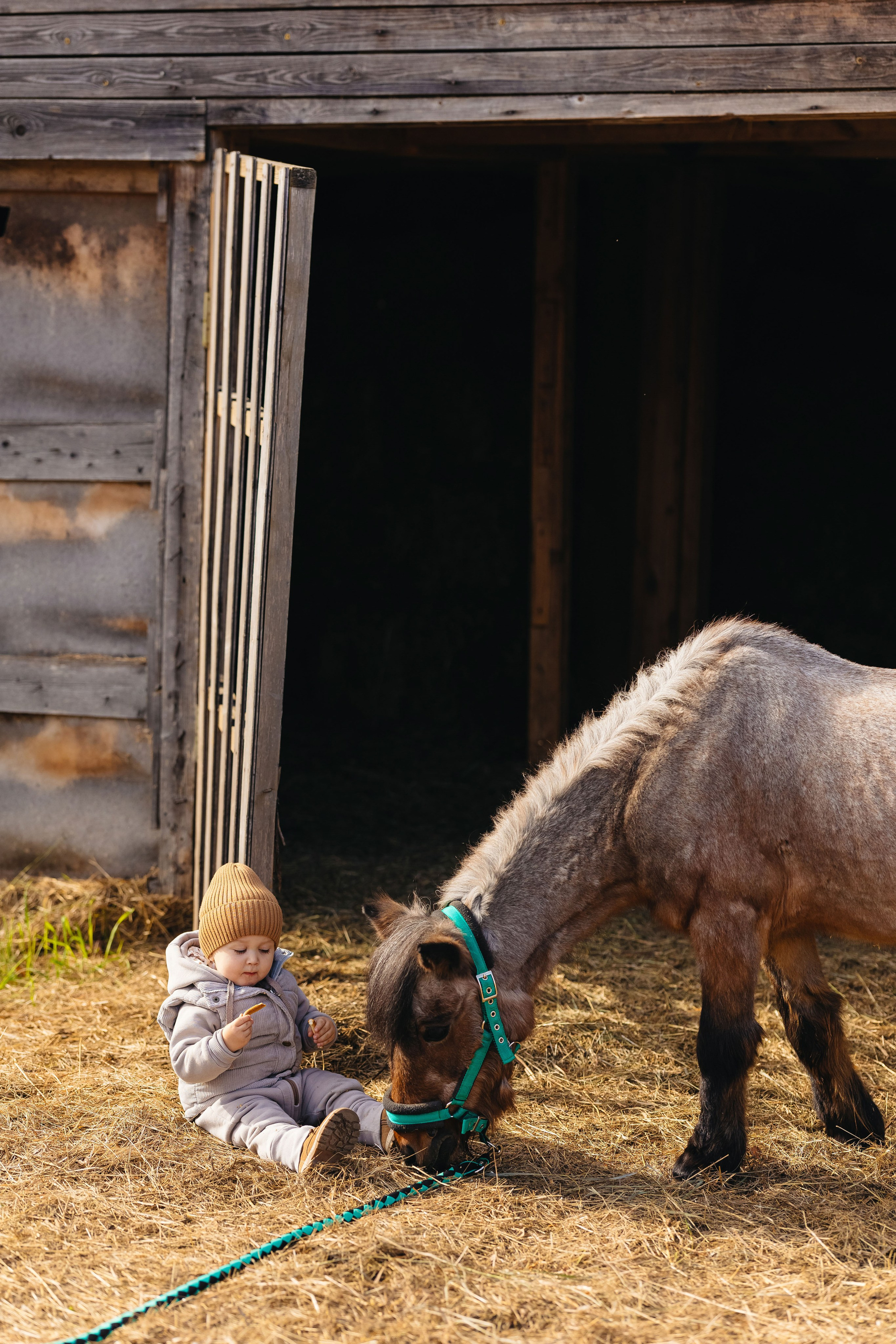 2024.10.02 Илья и лошадка. Ирина Бешляга. Фотограф в Москве и по всей России