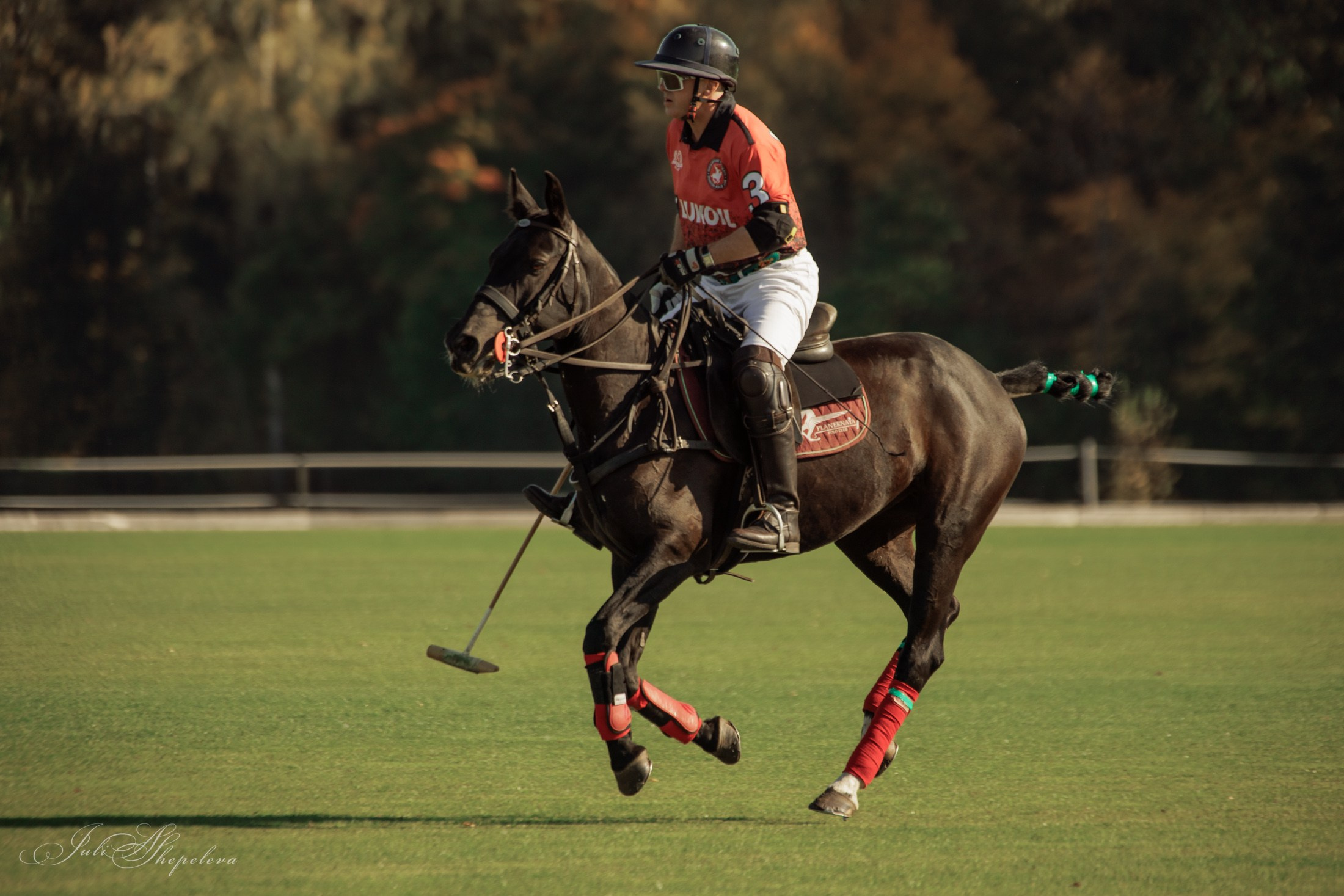 Осенний кубок по конному поло. Детская Конная фотография в Москве Юлия Шепелева