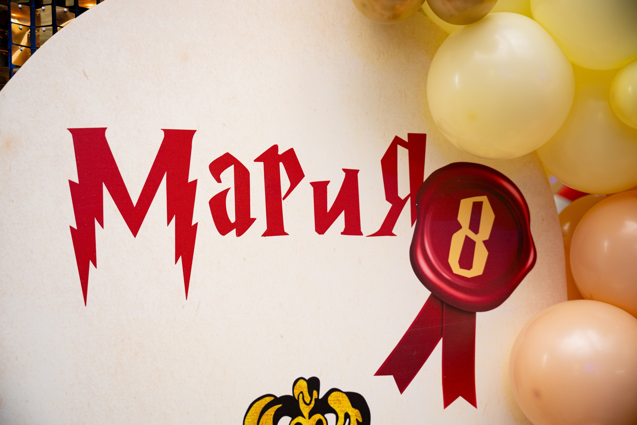 ДР МАШИ. Фотограф на любое мероприятие