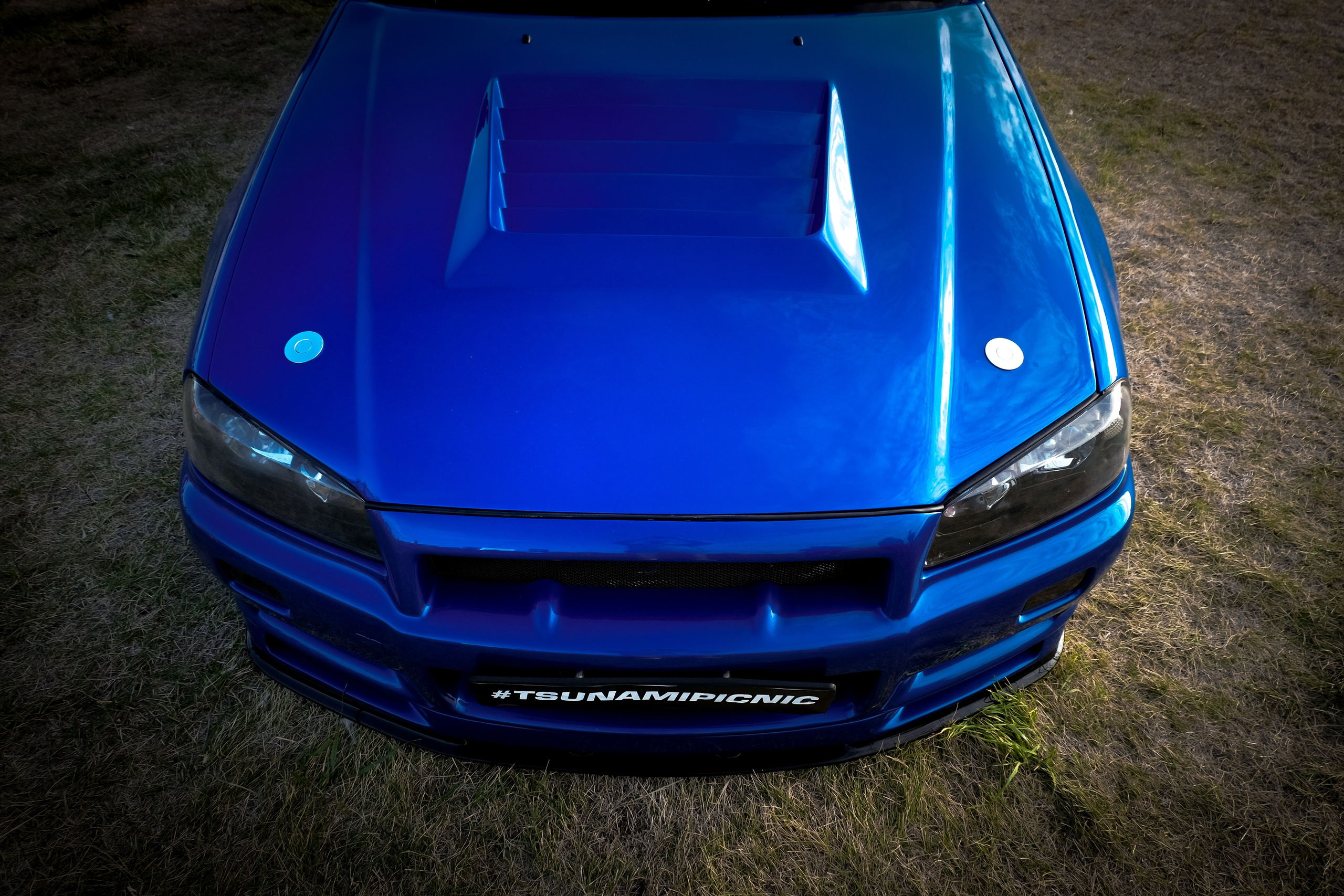 Tsunami Picnic 2024. Александр Попов