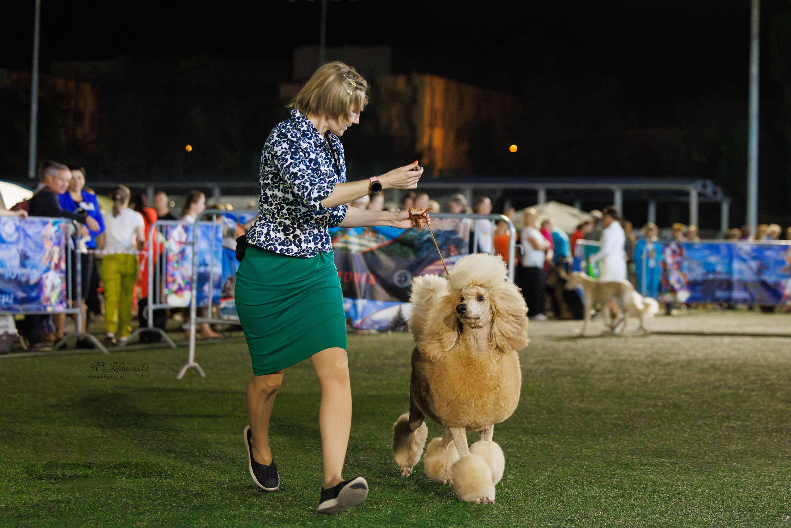 Волгоград 2-4.08.2024. Фотограф-анималист Юлия Германика