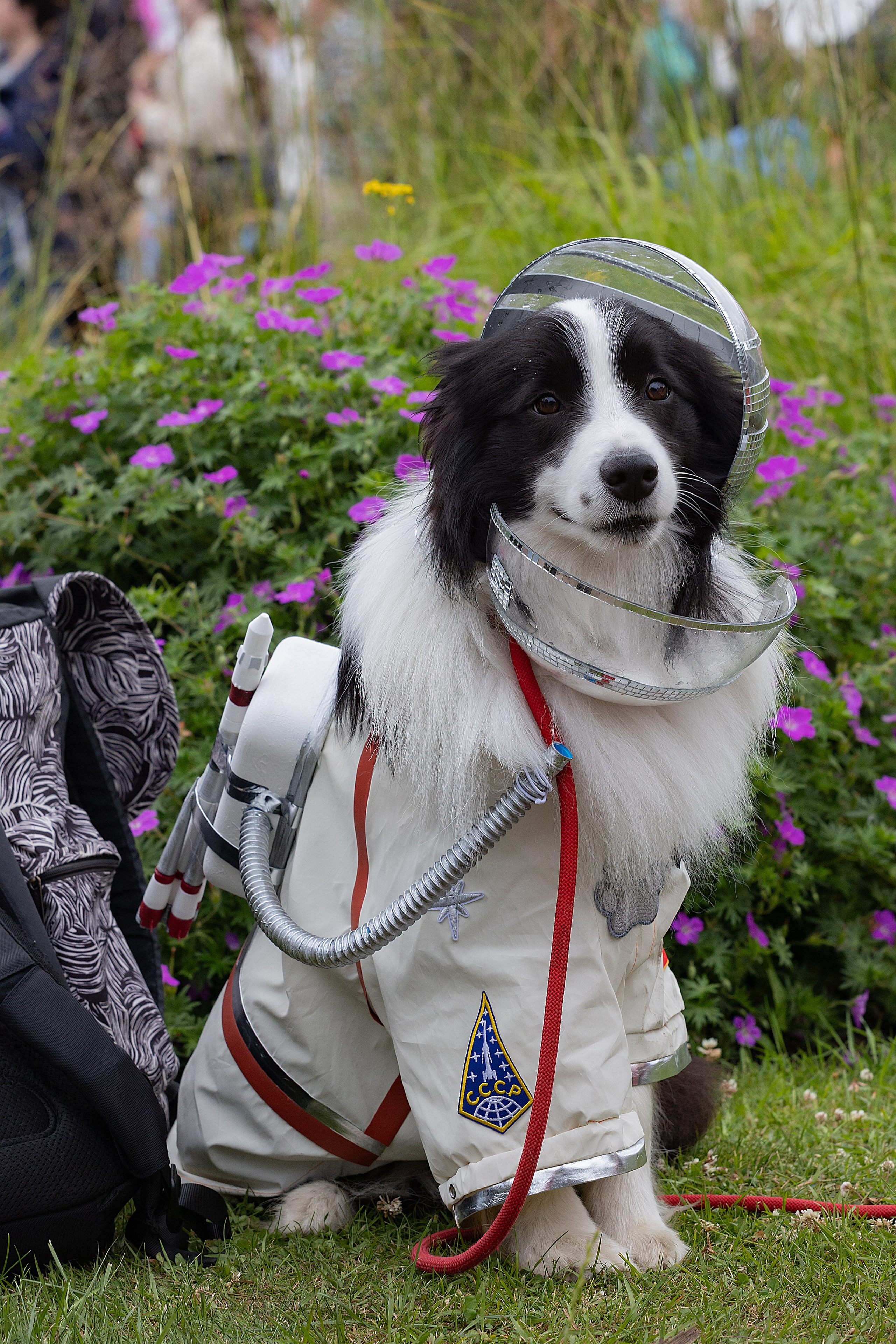Petshop Days 2026. Репортажный фотограф