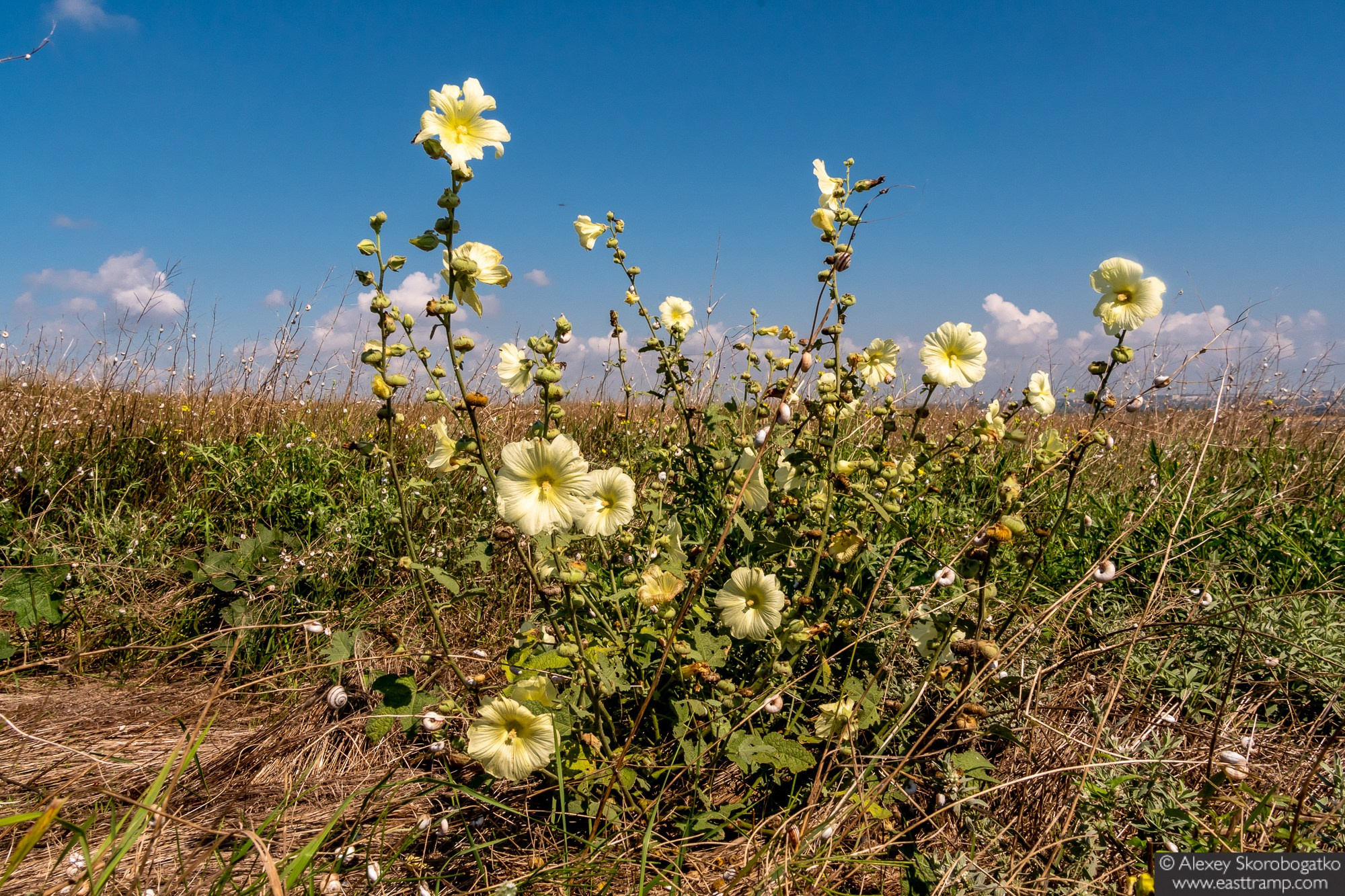 Археологические раскопки некрополя Кыз-Аул в Крыму. Фотограф Алексей Скоробогатько