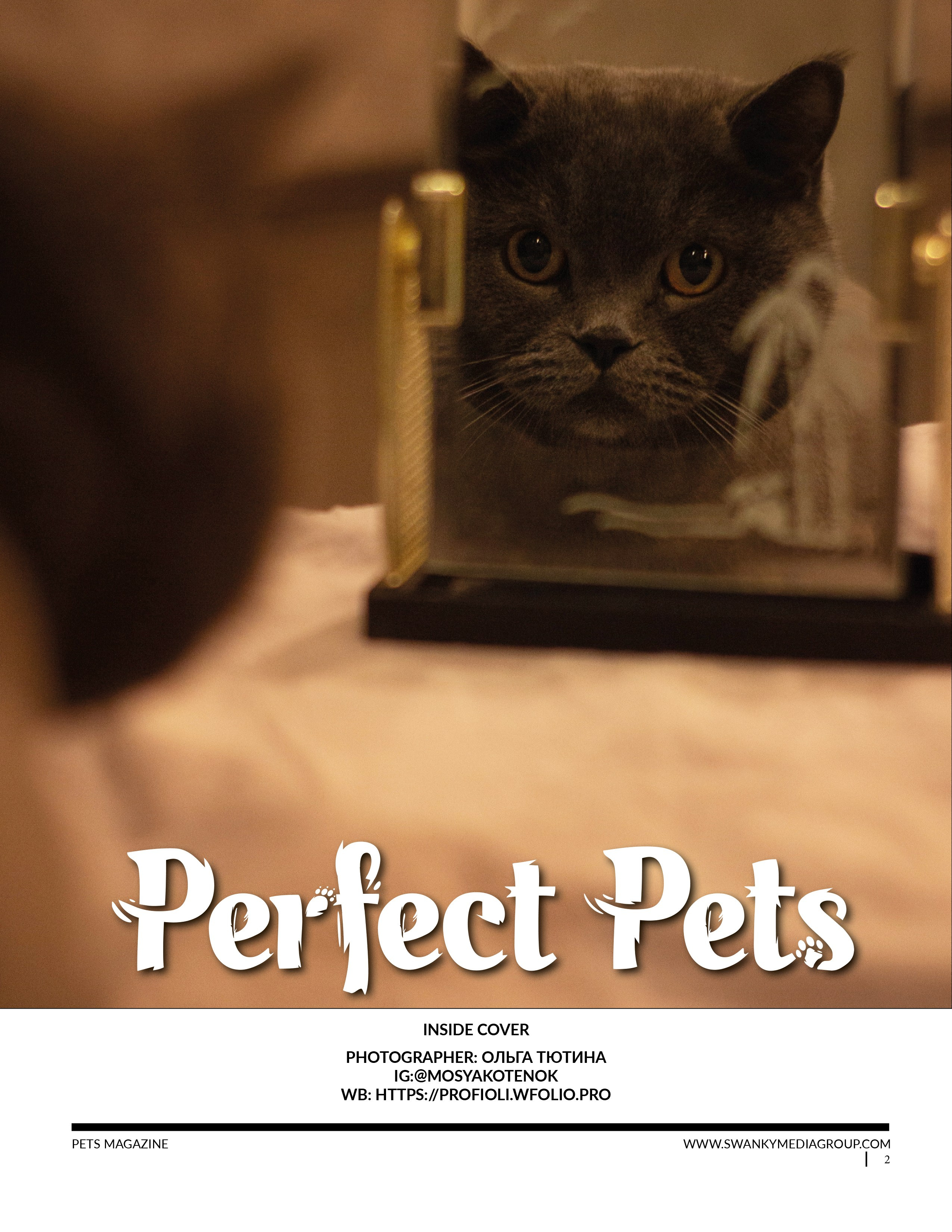 Публикации в журналах, дипломы, сертификаты, награды. Тютина Оля фотограф-ретушер Екатеринбург