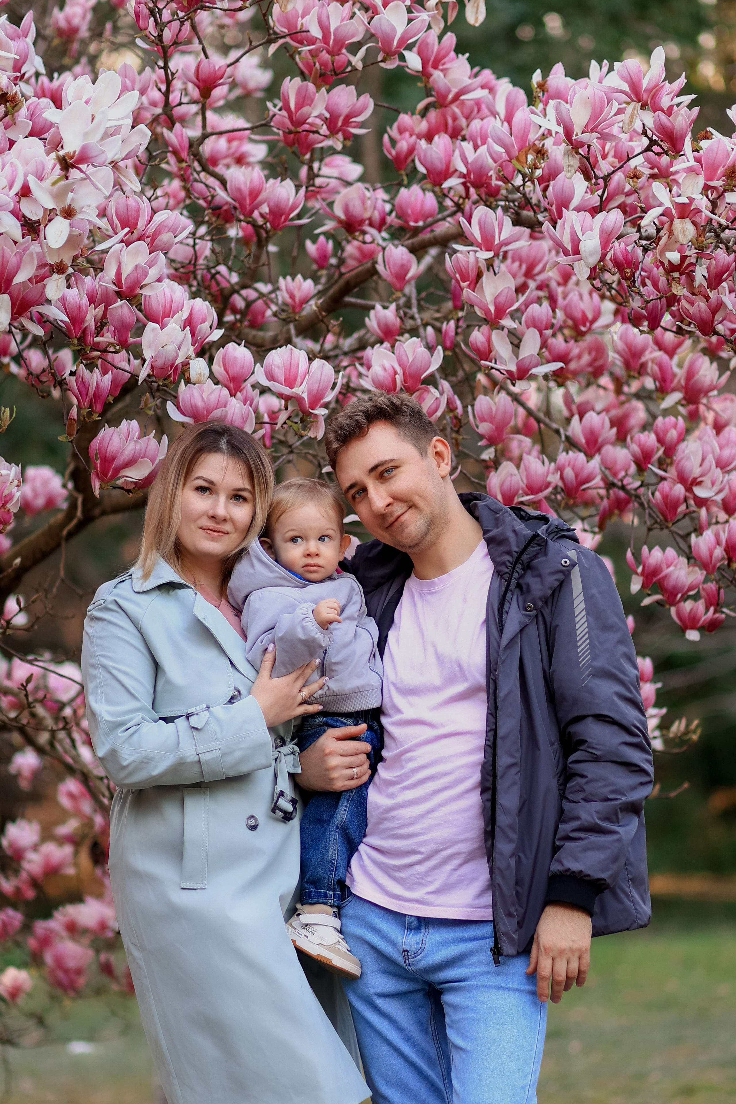 Цветение. Магнолия. Сакура. Фотограф в городе Сочи