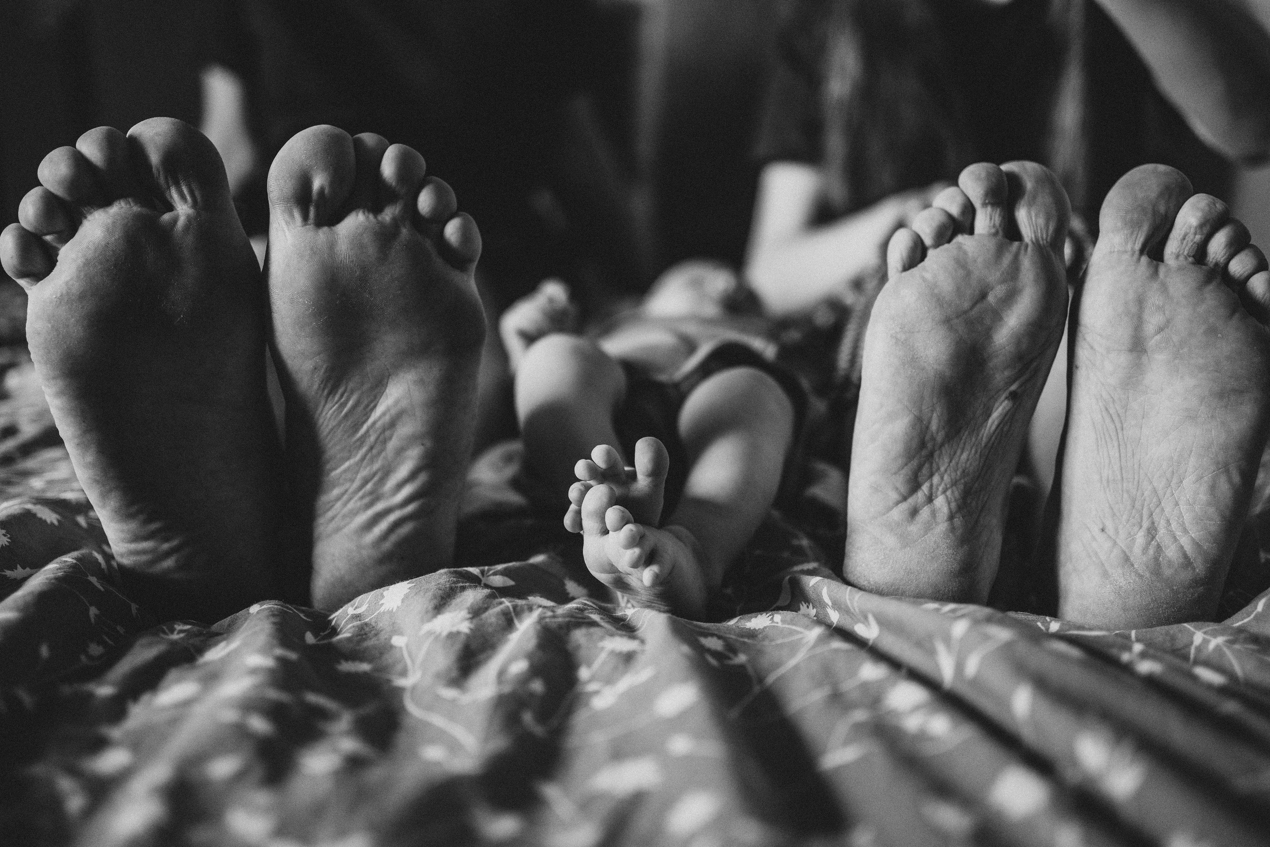 Алиса, Денис и Артём. Семейный и детский фотограф в Новосибирске Эвелина Лангеман