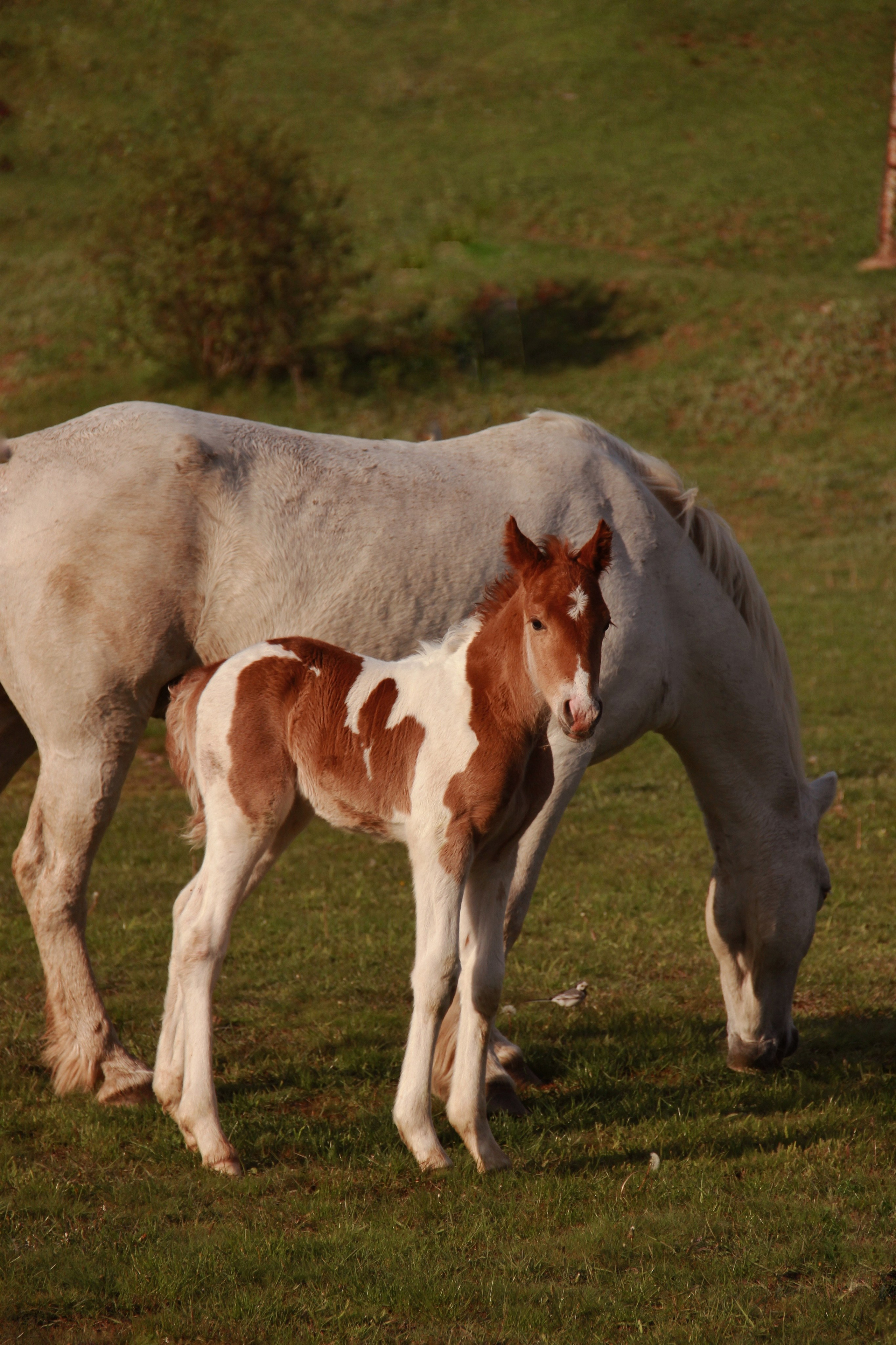 Крым. Фотограф и видеограф в Санкт-Петербурге