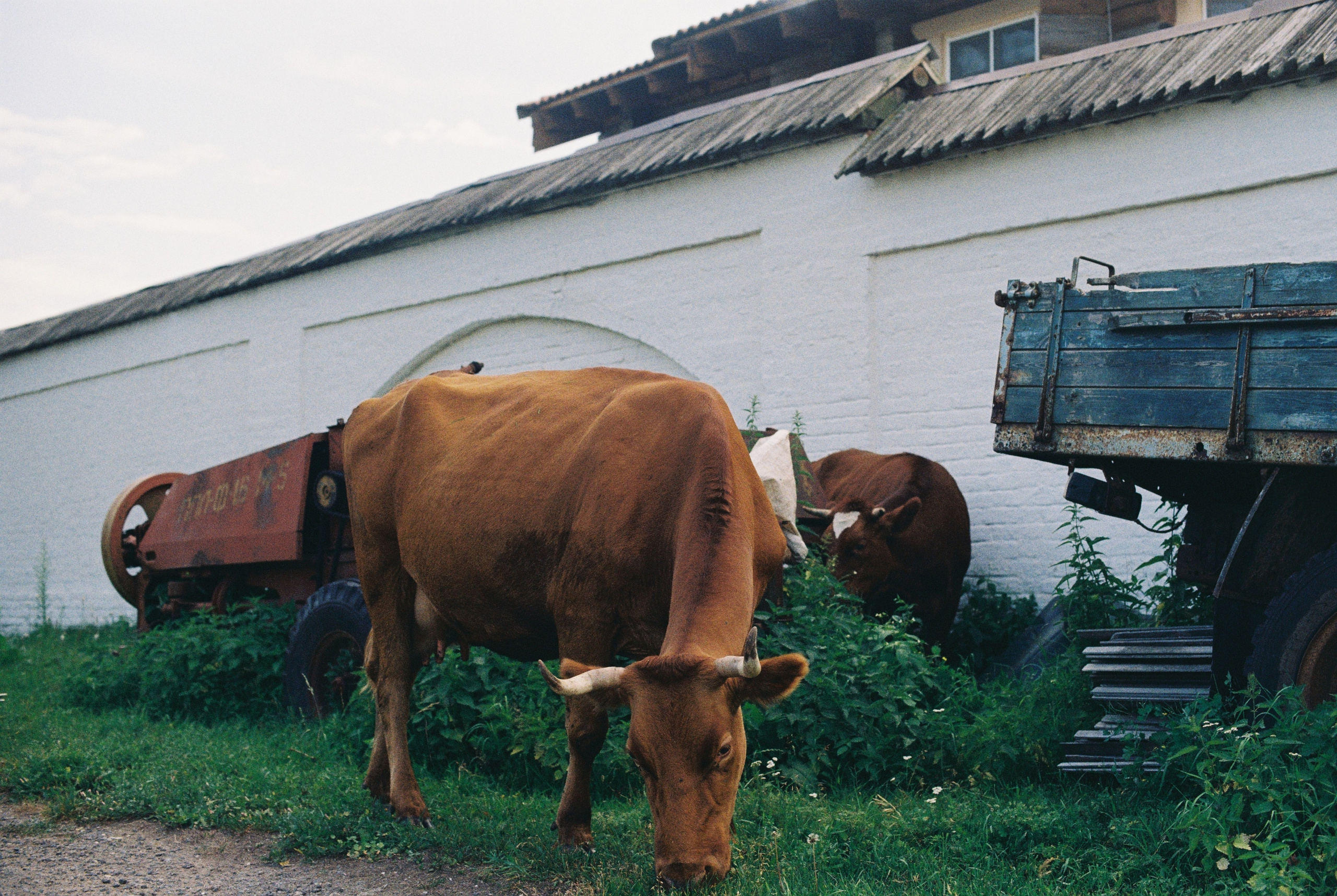 EXHIBITION. Репортажный и интерьерный фотограф, фотохудожник