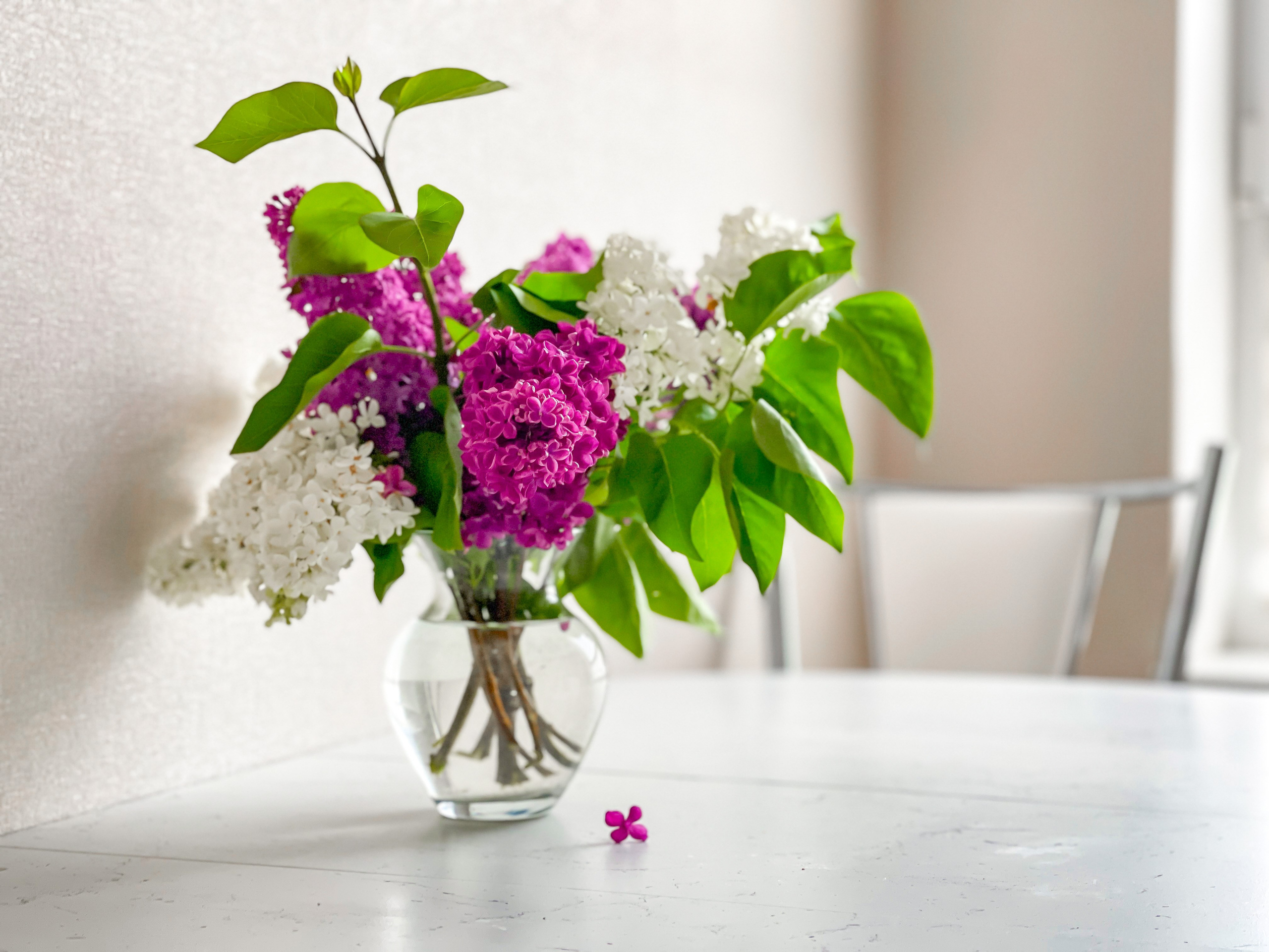 Интерьерная съёмка квартиры. Интерьерный фотограф на побережье Краснодарского края Диана Бажанова