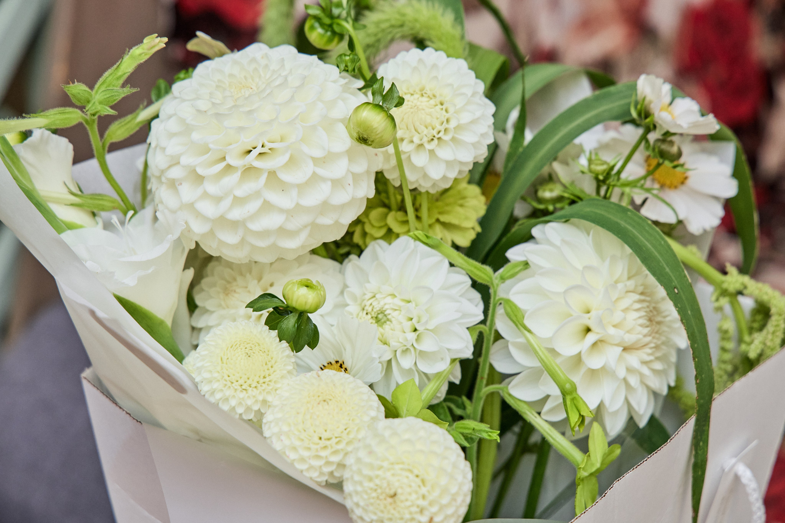 Фотосъёмка юбилея в Нижнем Новгороде — живые эмоции и красивые кадры. Фотограф Нижний Новгород Мария Китаева