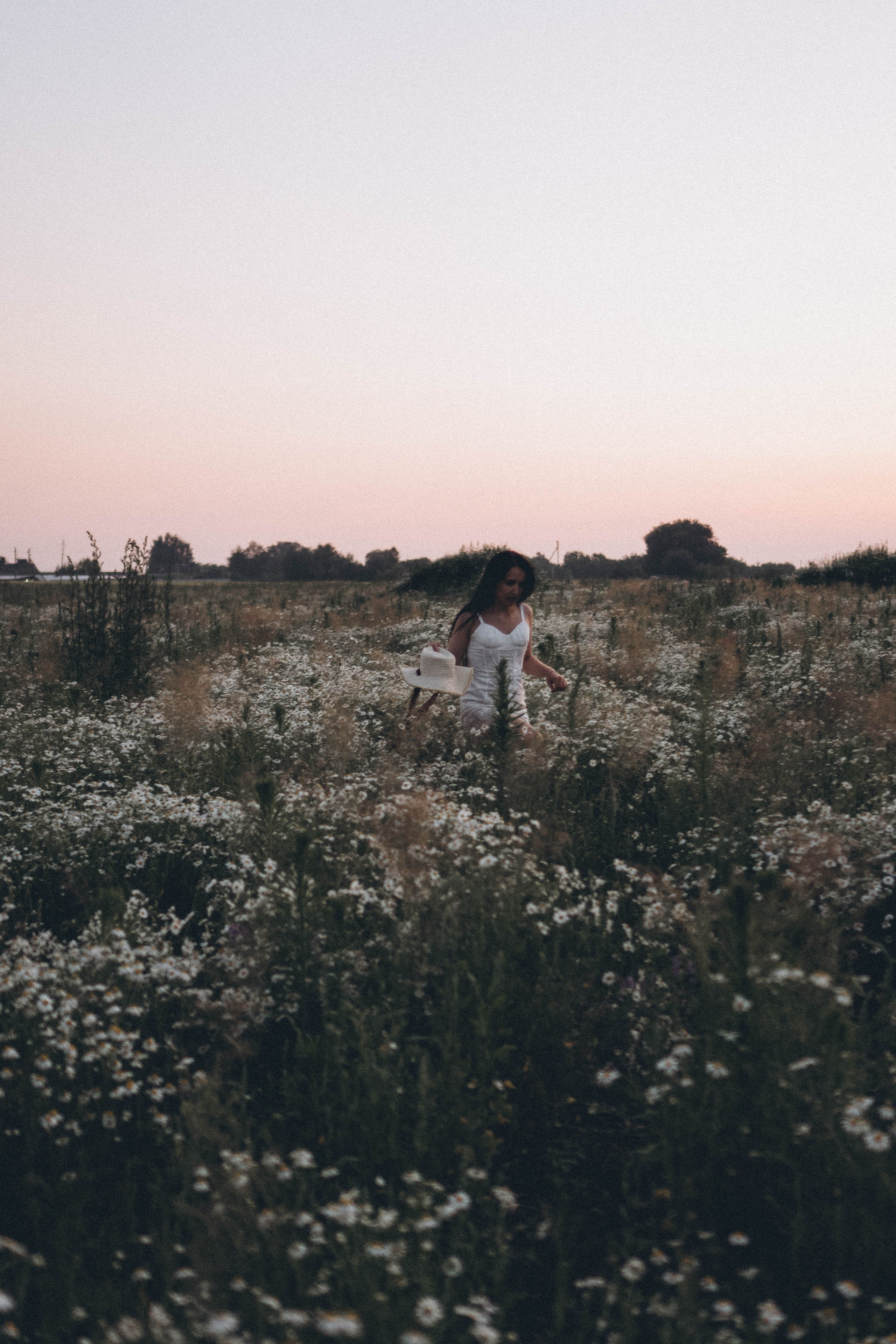 Ромашковое поле. Профессиональный фотограф, Санкт-Петербург — Виктория Богомолова