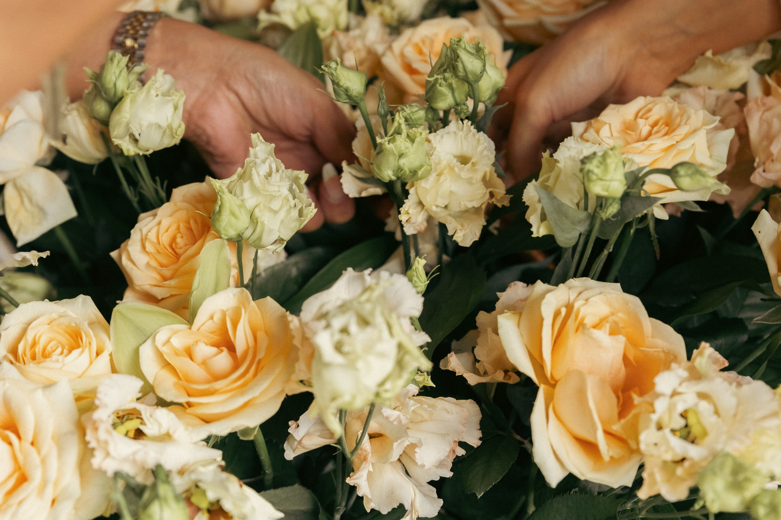 Mrs. & Ms. Главная