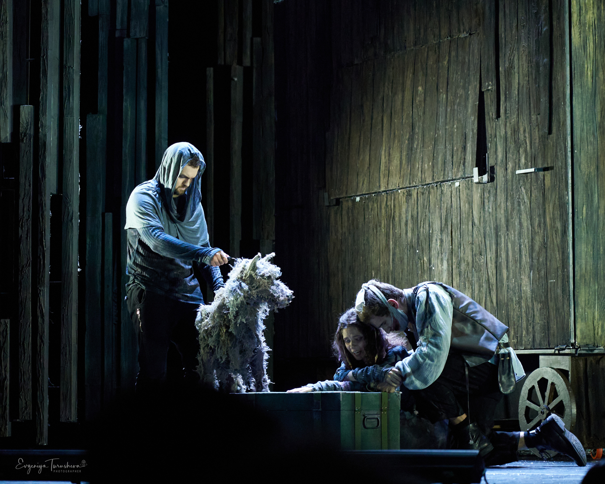 «Человек, который смеется» (. Фотограф Евгения Турушева