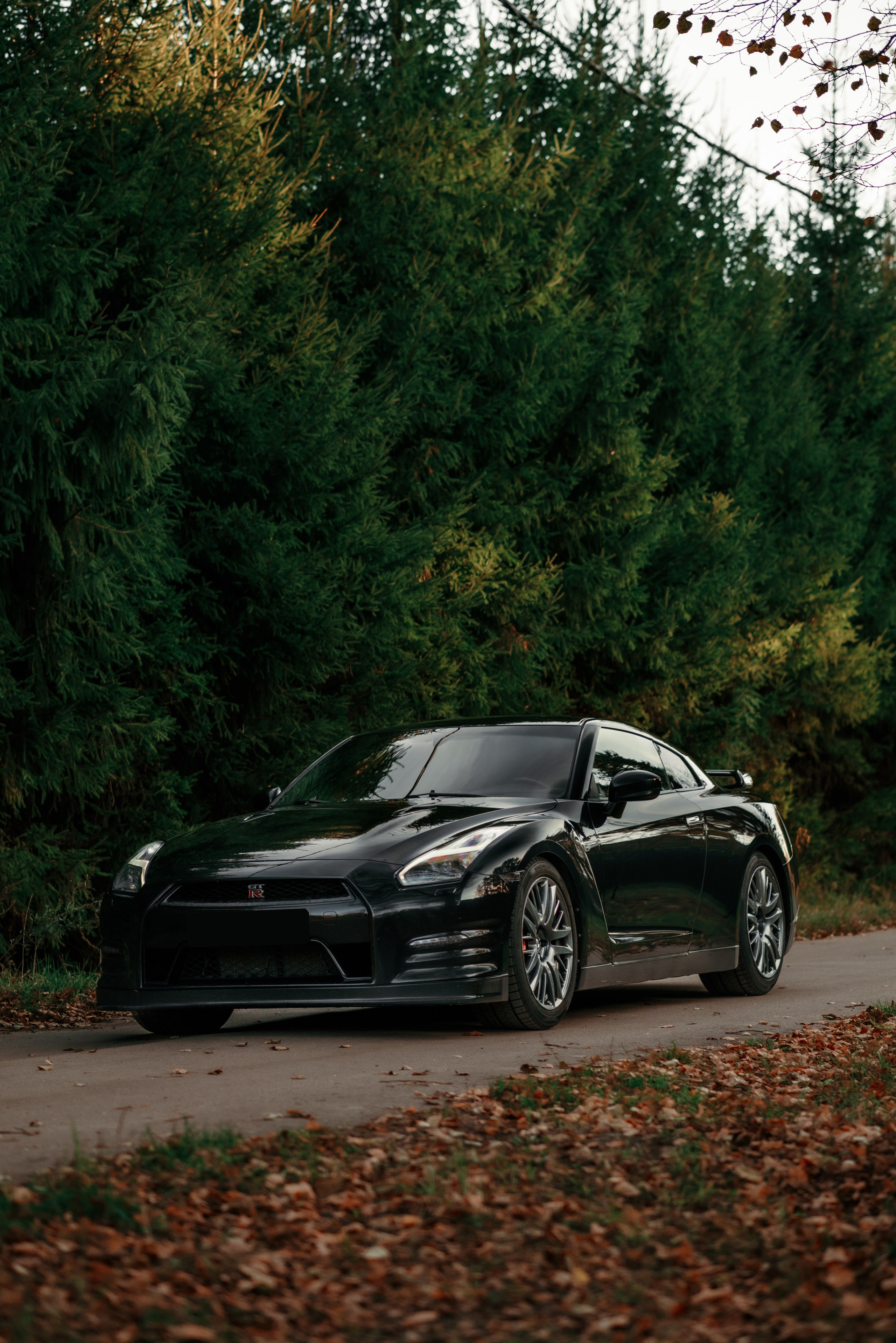 Nissan GT-R35 autumn vibe. DeLorein