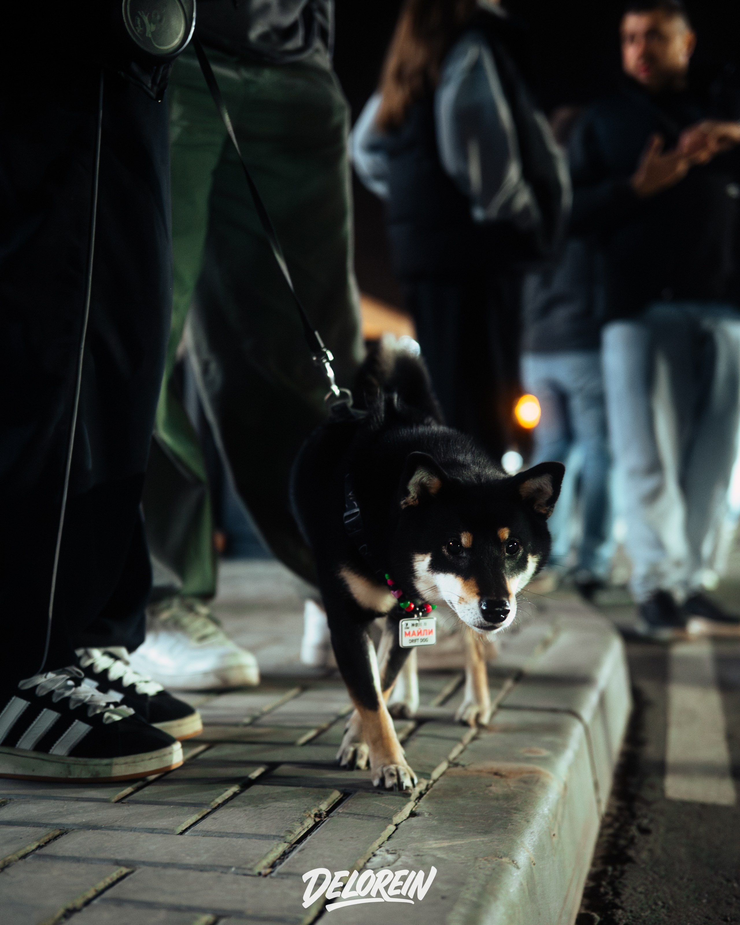 Downfly 3 сентября 2025. DeLorein