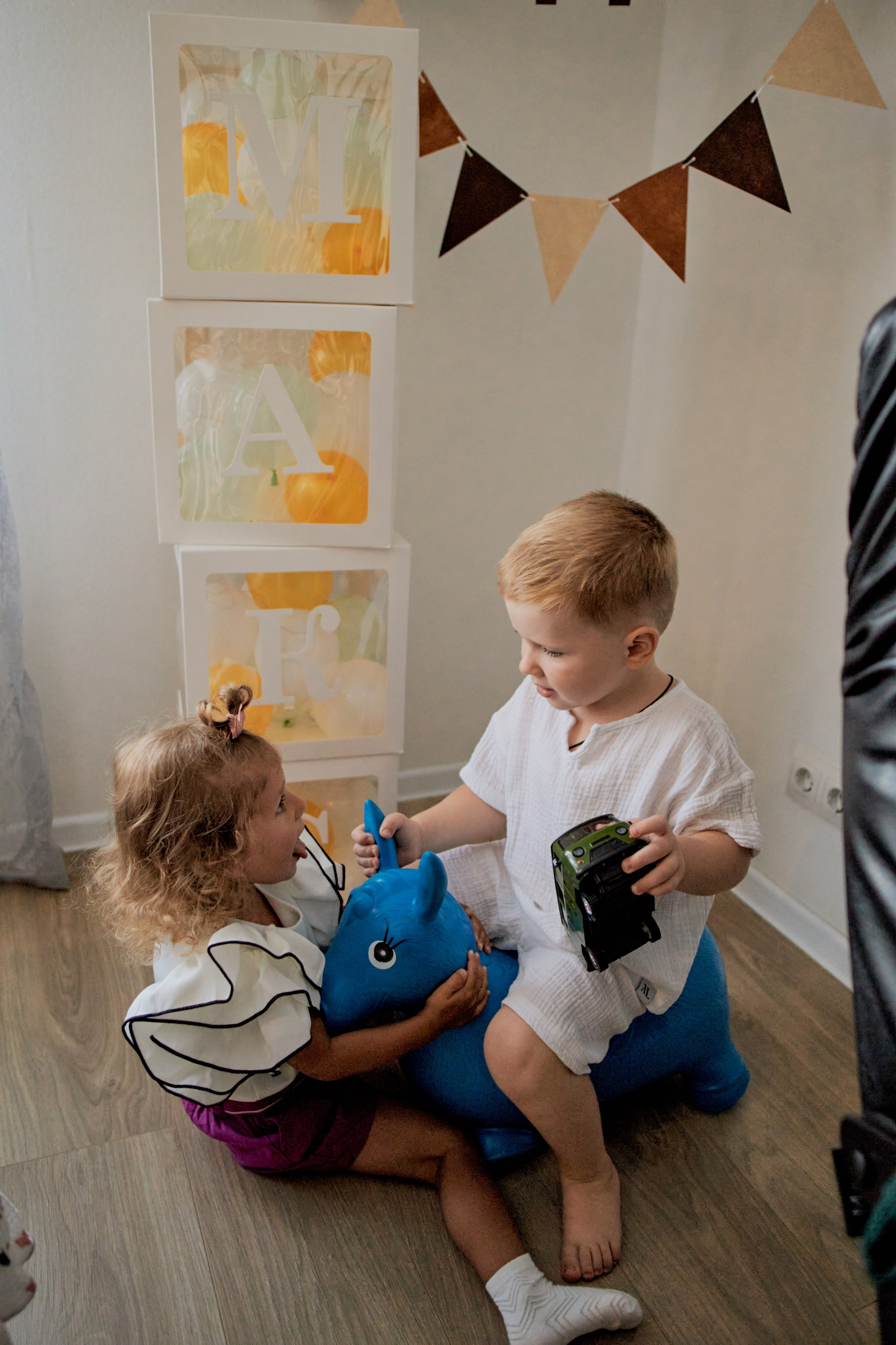 Три кота. Фотограф Москва