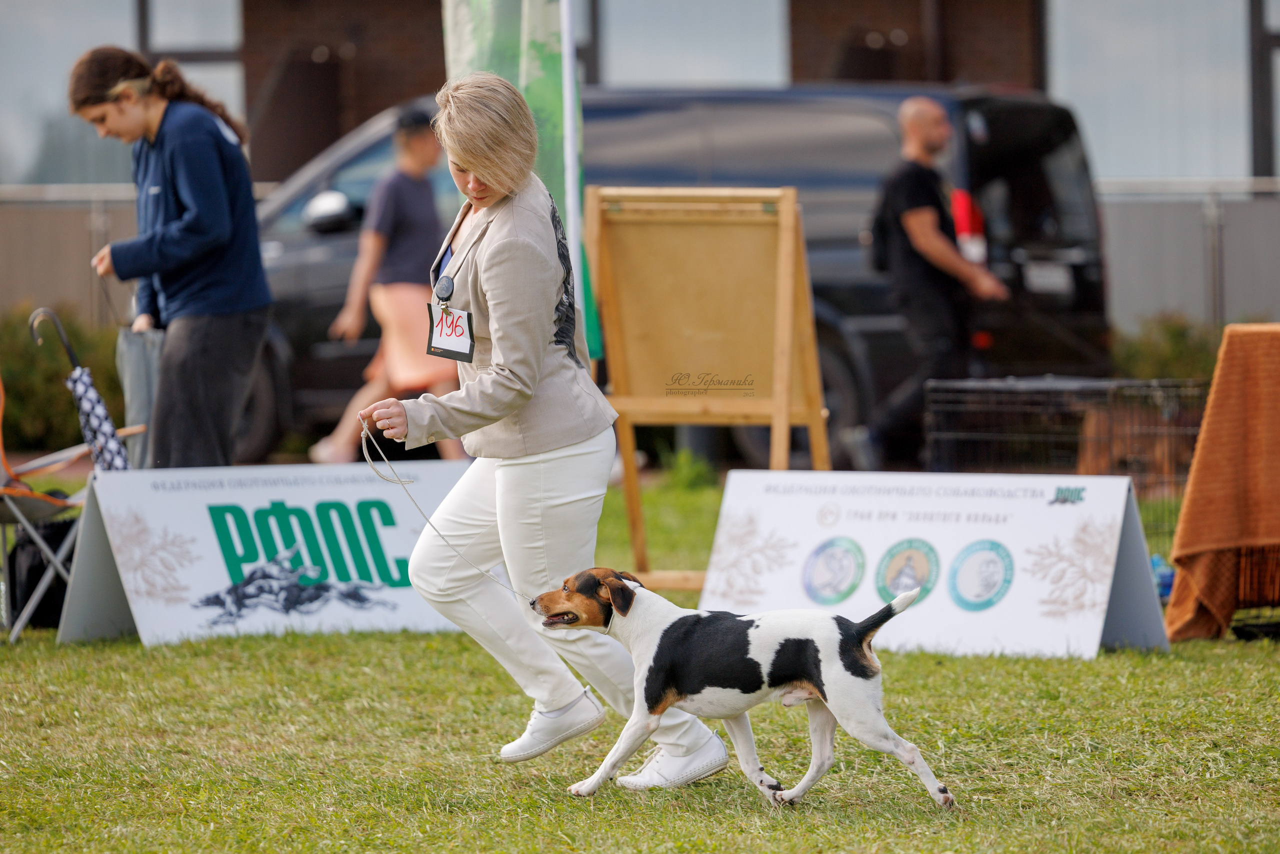 Переславль 5-7.08.2025. Фотограф-анималист Юлия Германика